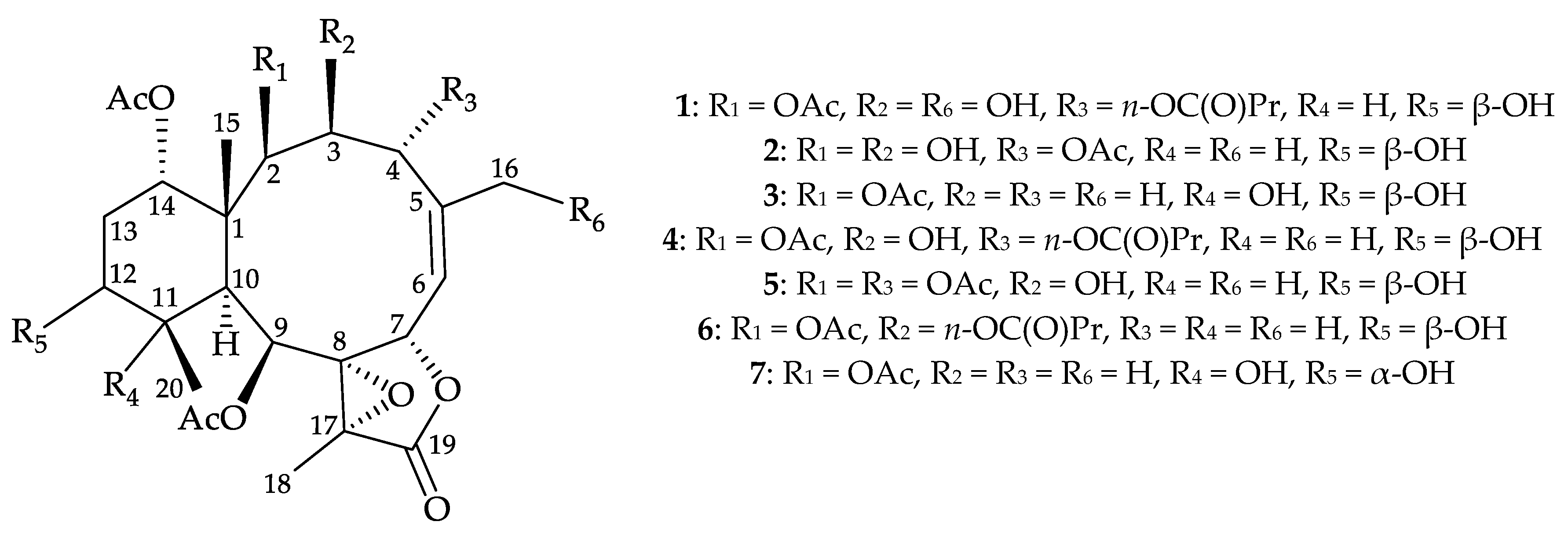 Molecules 25 01405 g001