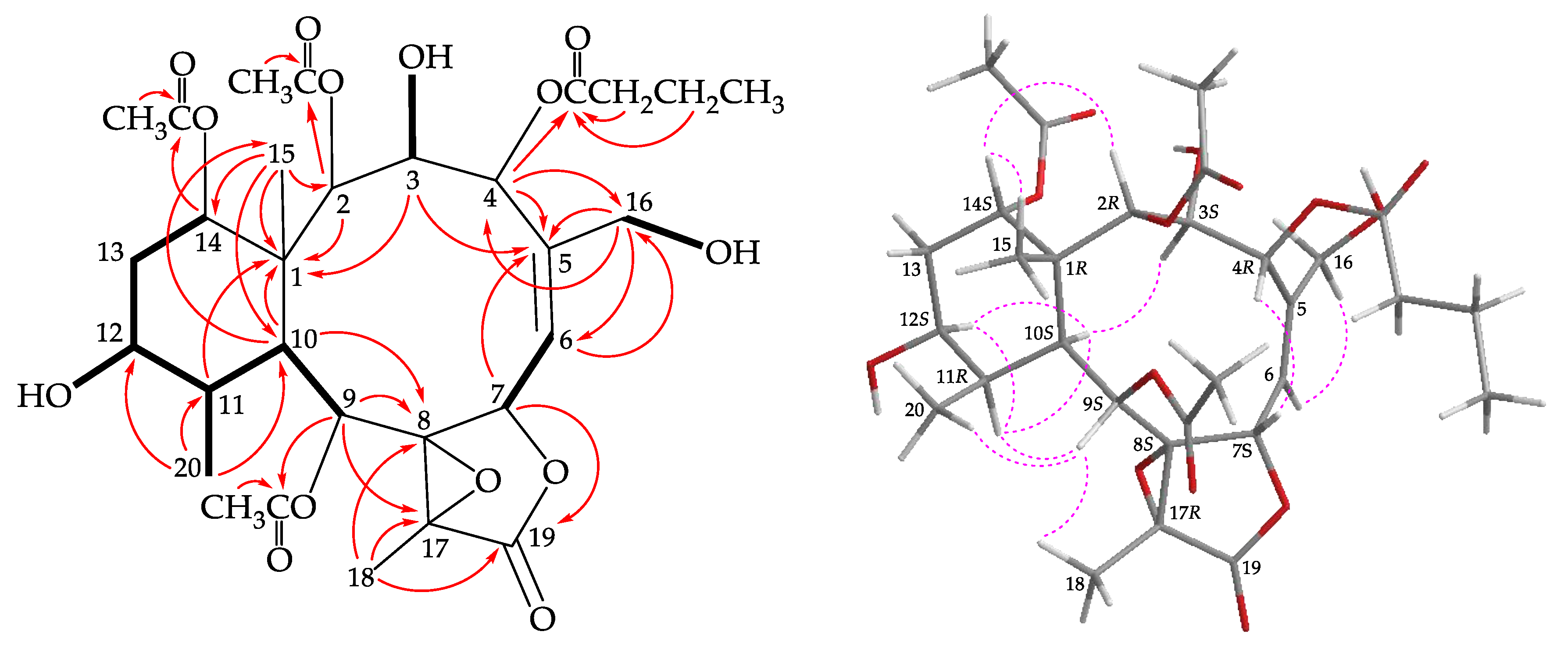 Molecules 25 01405 g002