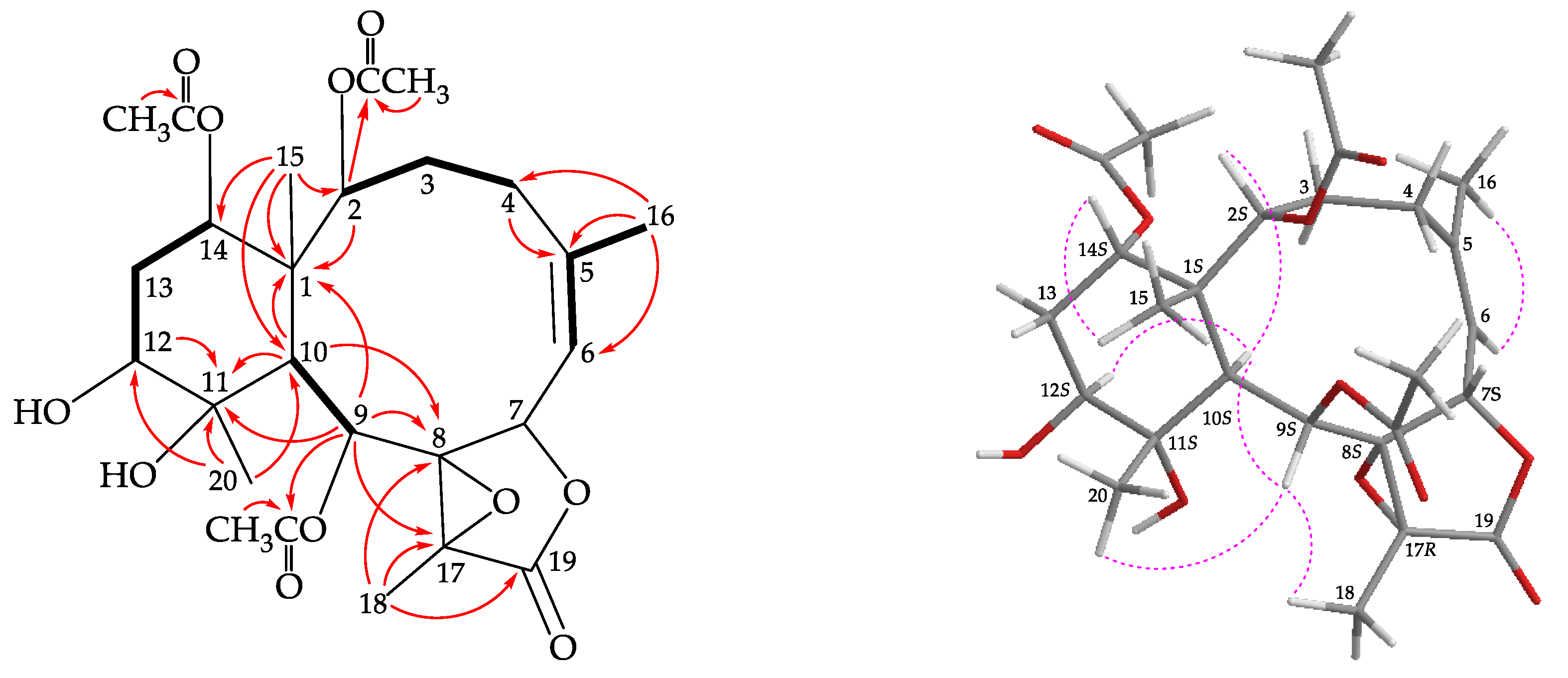 Molecules 25 01405 g004