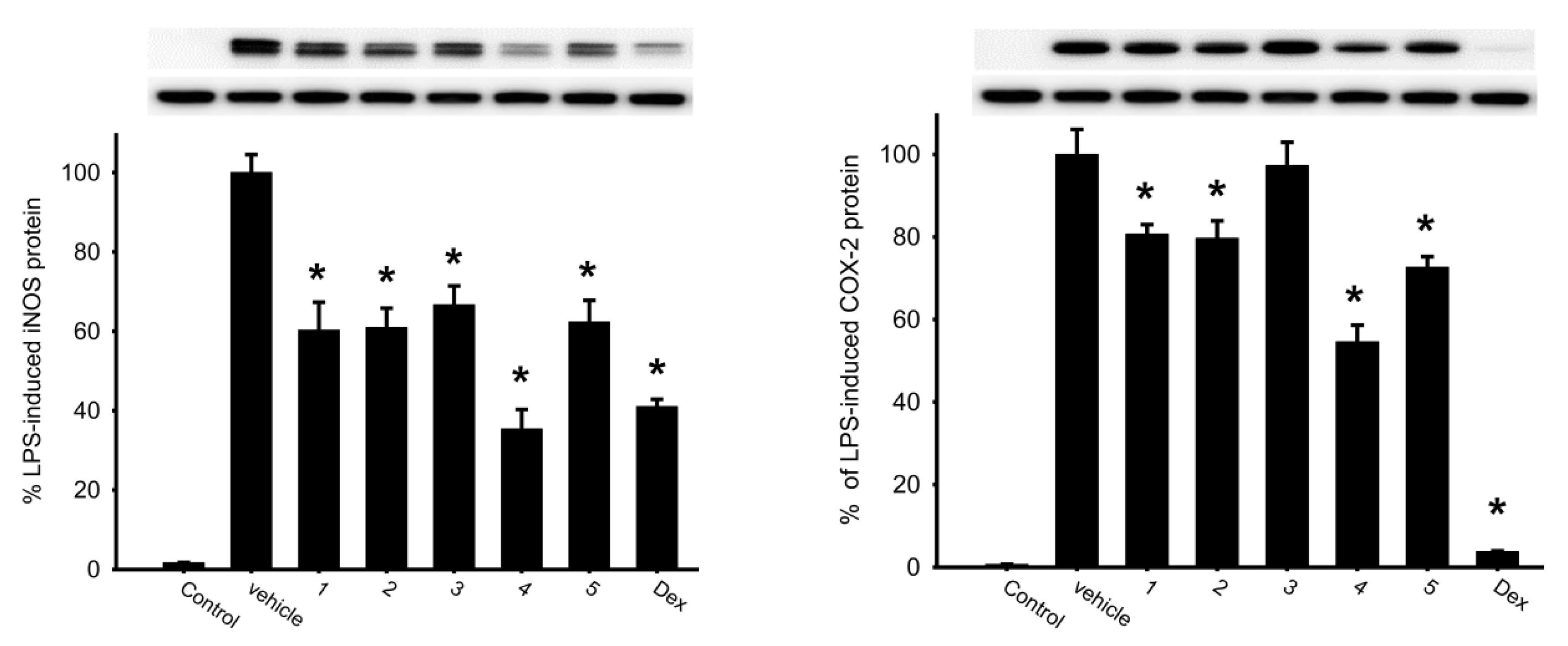 Molecules 25 01405 g005