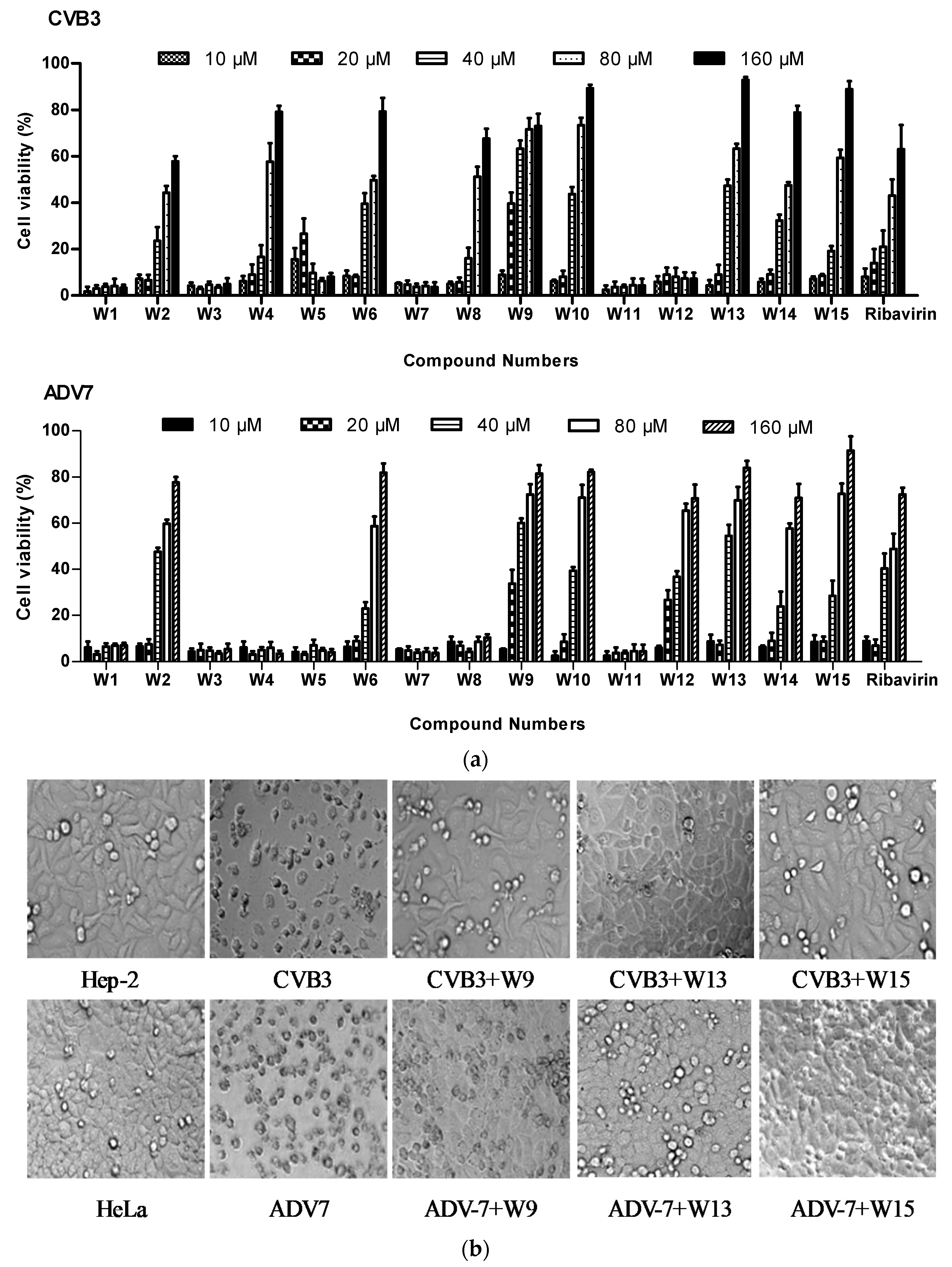 Antiviral Effects of Novel 2-Benzoxyl-Phenylpyridine Derivatives