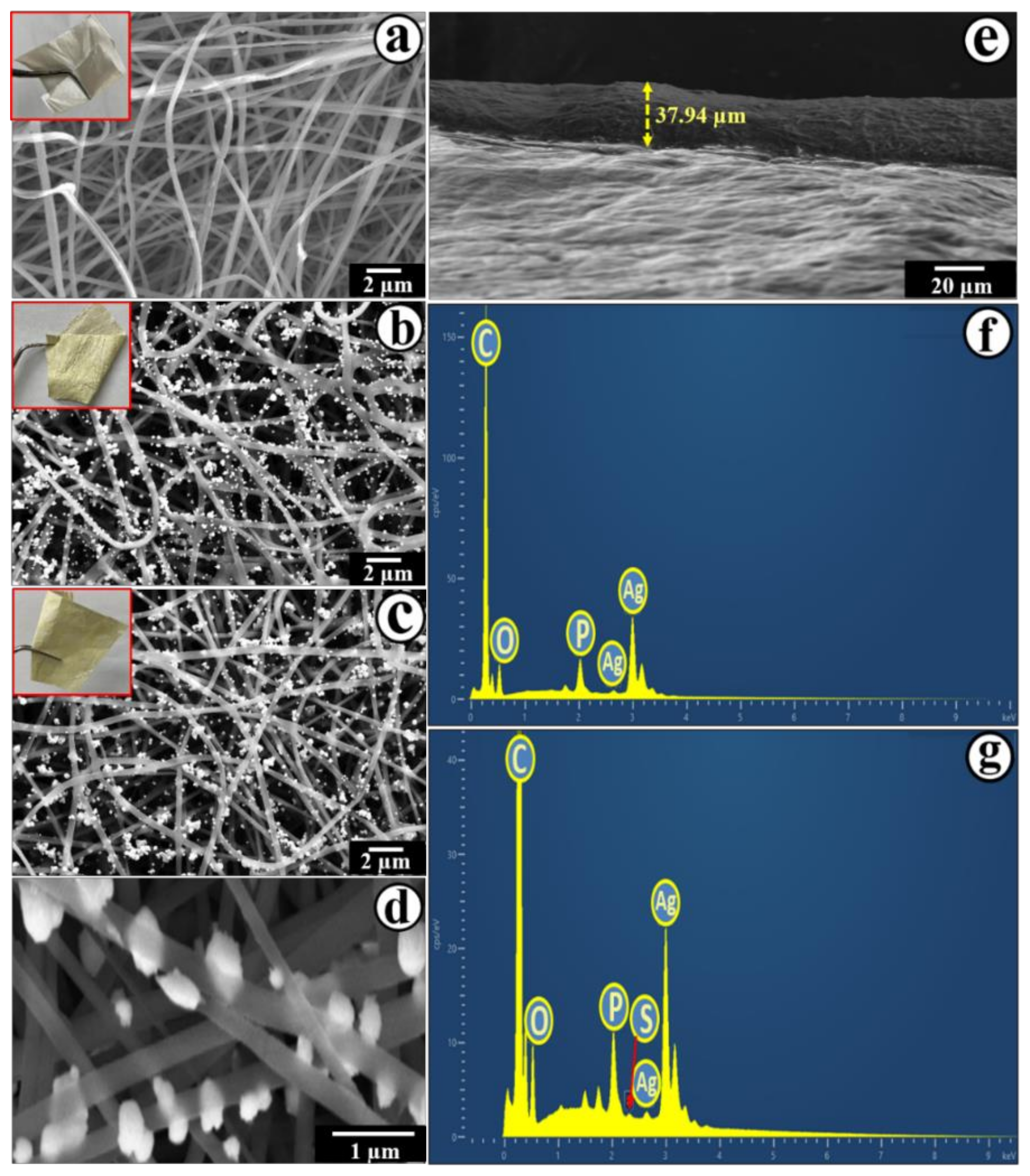 Molecules 25 01411 g002 Molecules 25 01411 g002