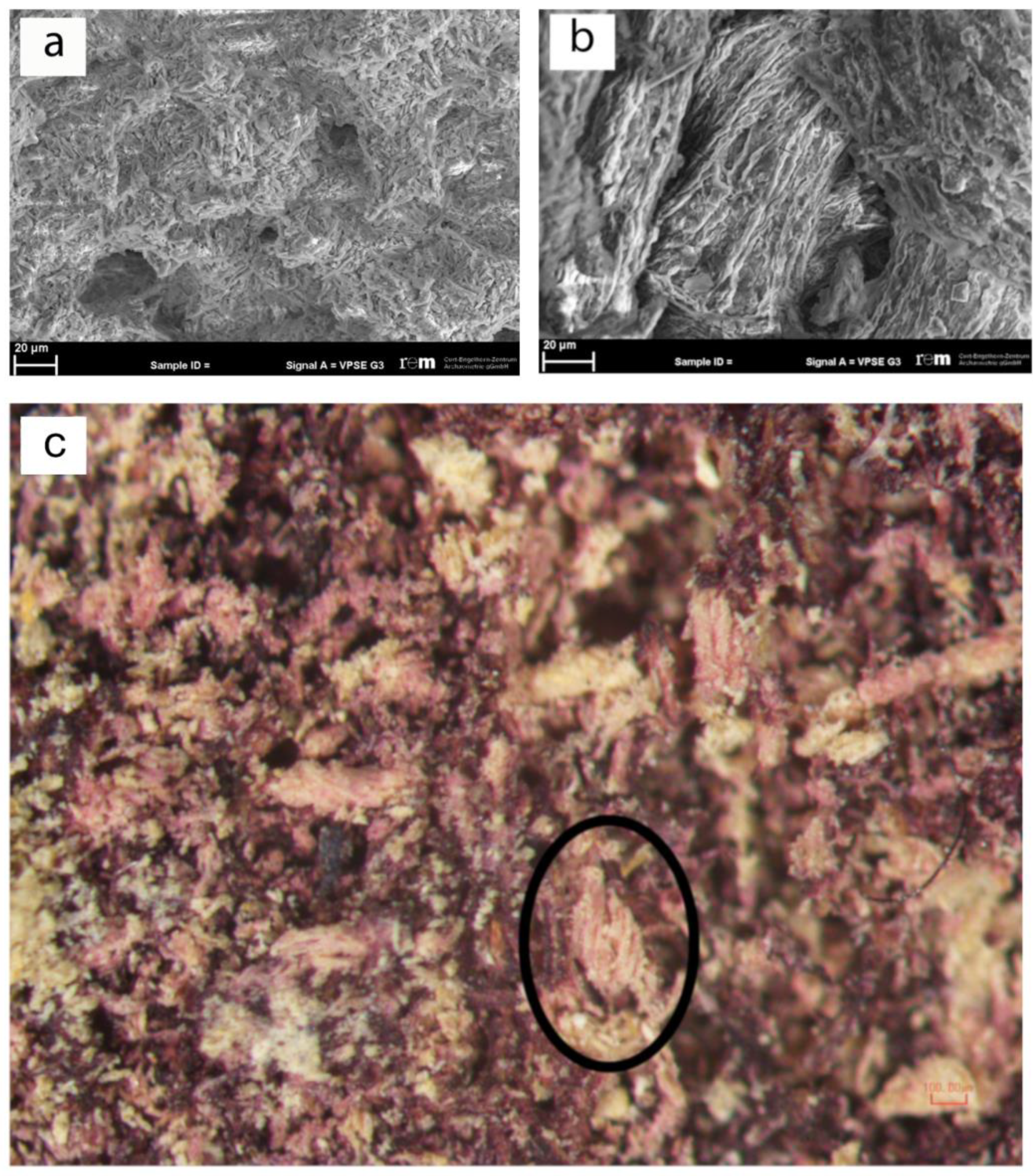 Molecules 25 01417 g002