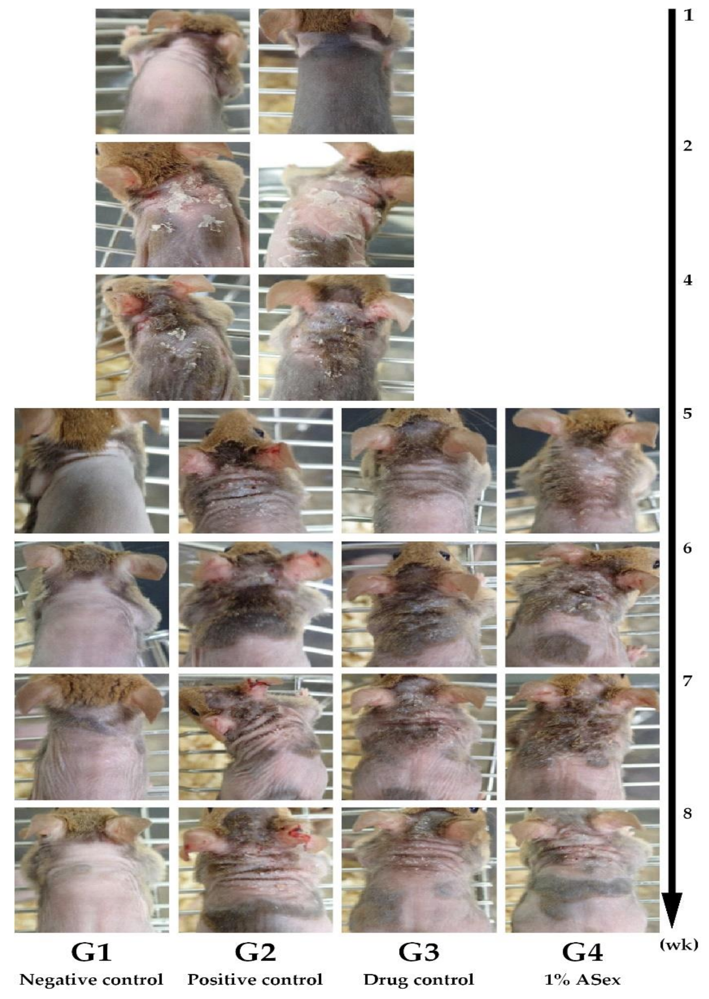 Molecules 25 01418 g006