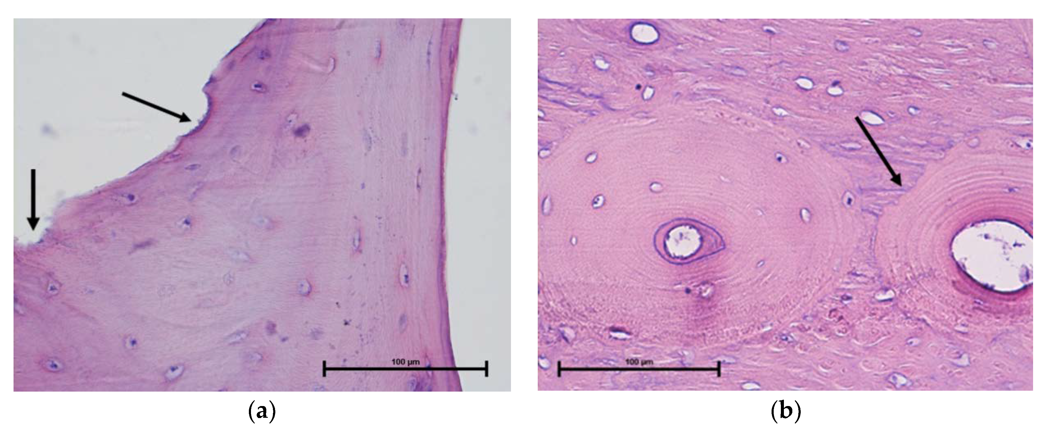 Molecules 25 01424 g010