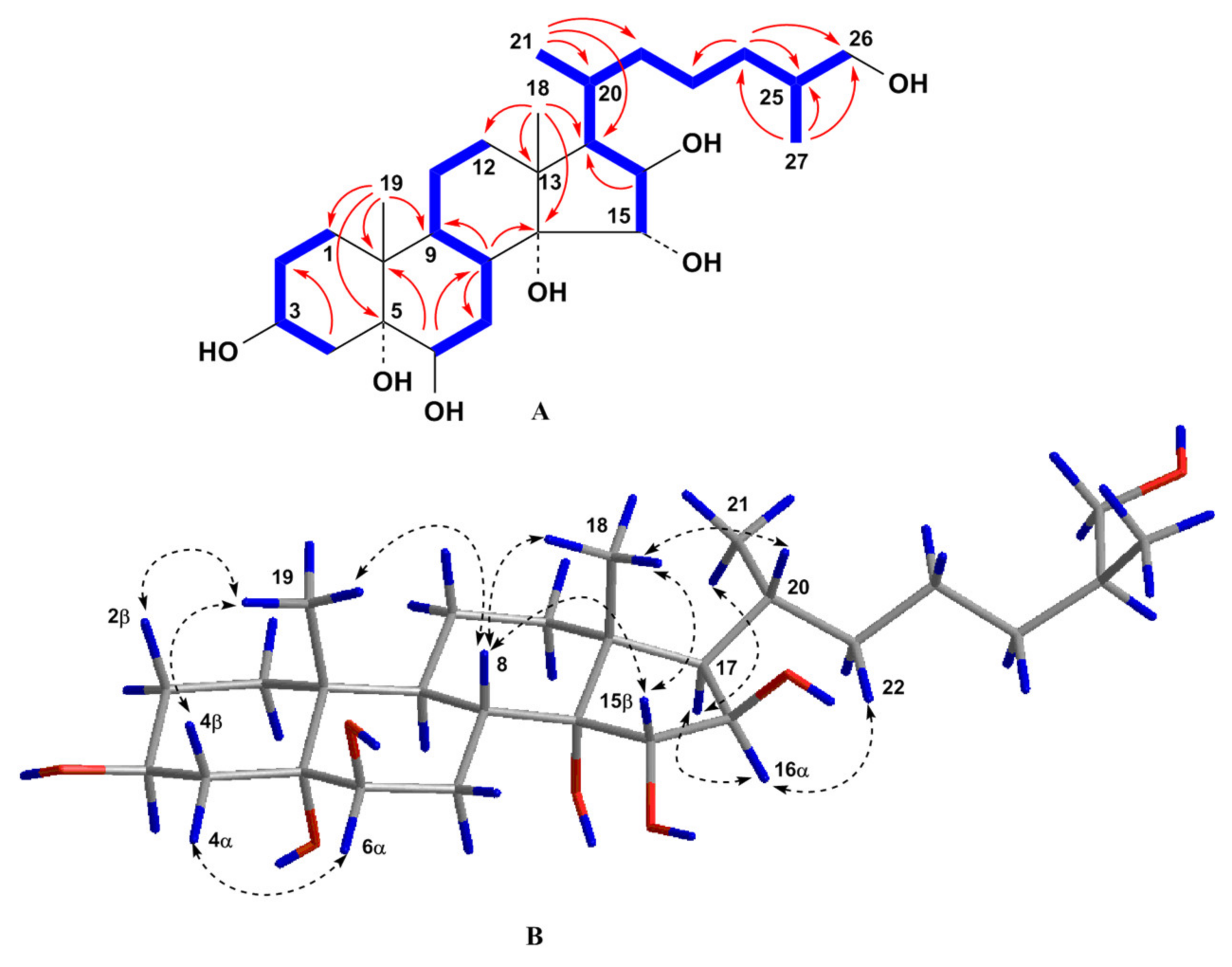Molecules 25 01440 g002 Molecules 25 01440 g002