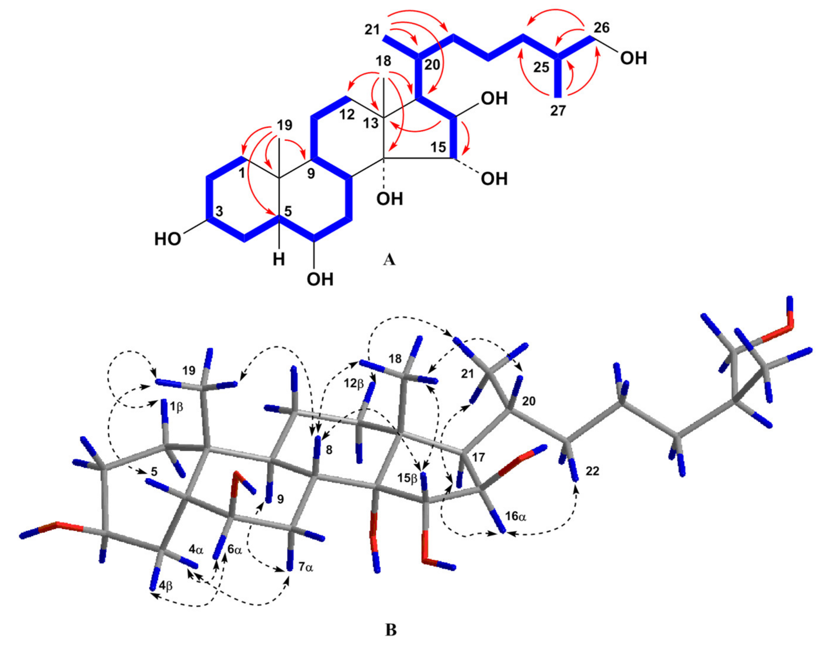 Molecules 25 01440 g003 Molecules 25 01440 g003