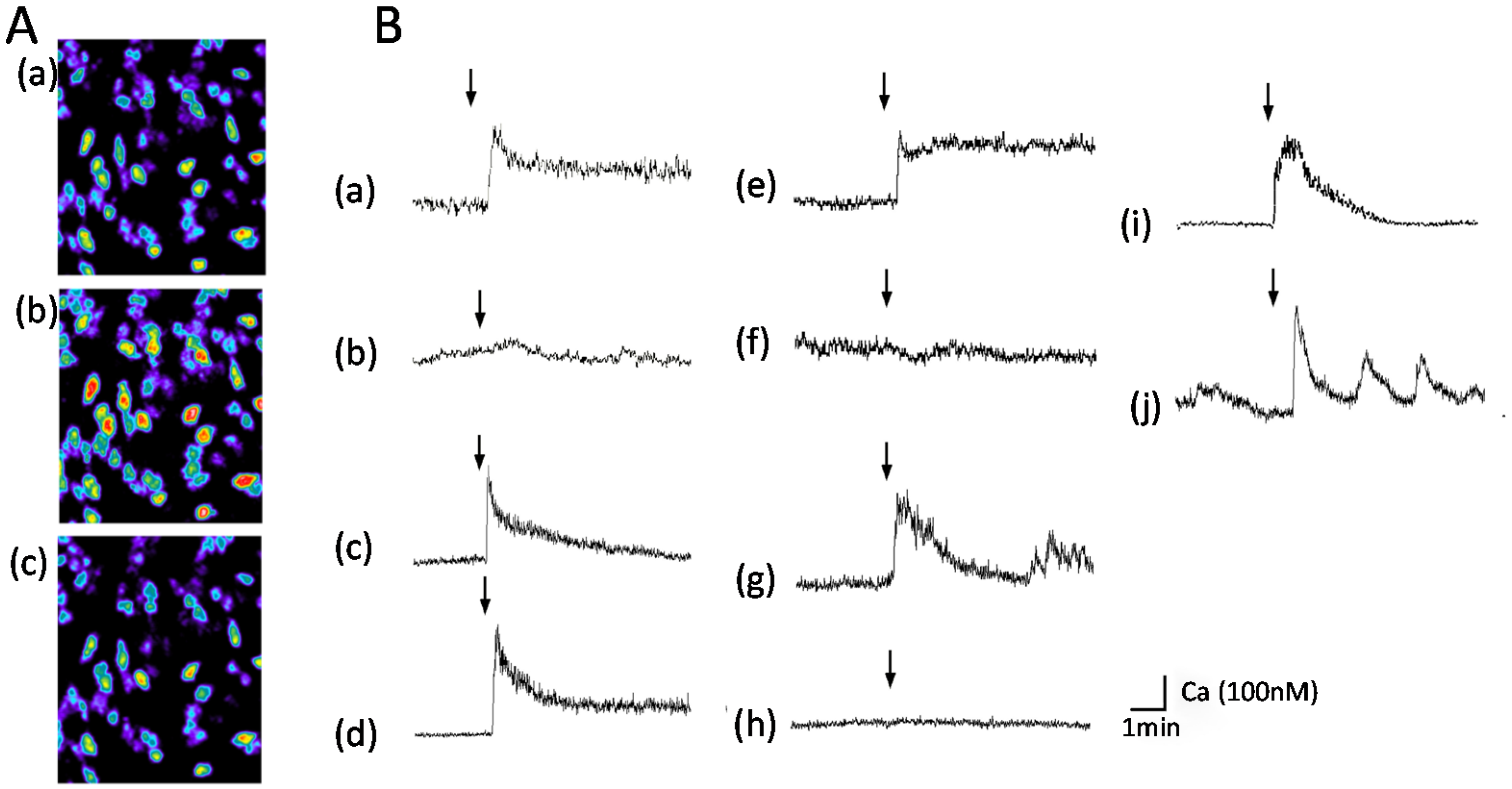 Molecules 25 01441 g002