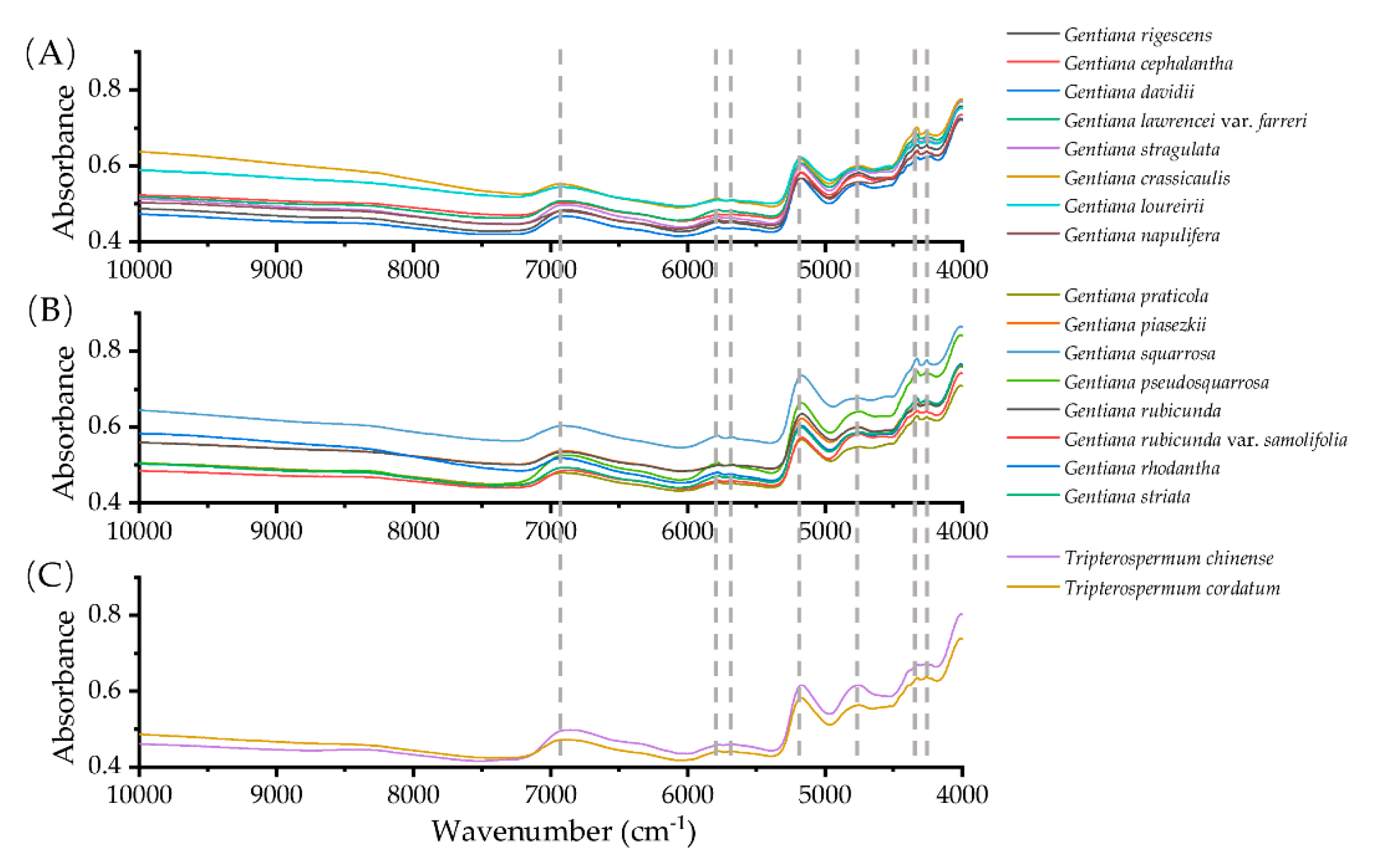 Molecules 25 01442 g002 Molecules 25 01442 g002