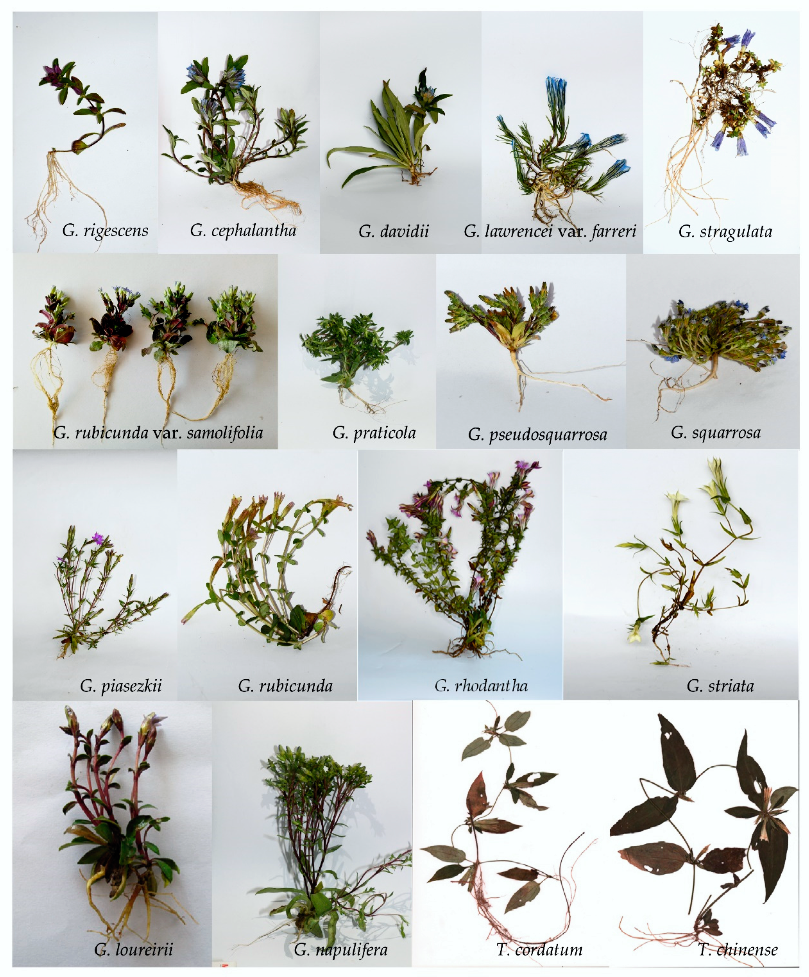 Molecules 25 01442 g011 Molecules 25 01442 g011