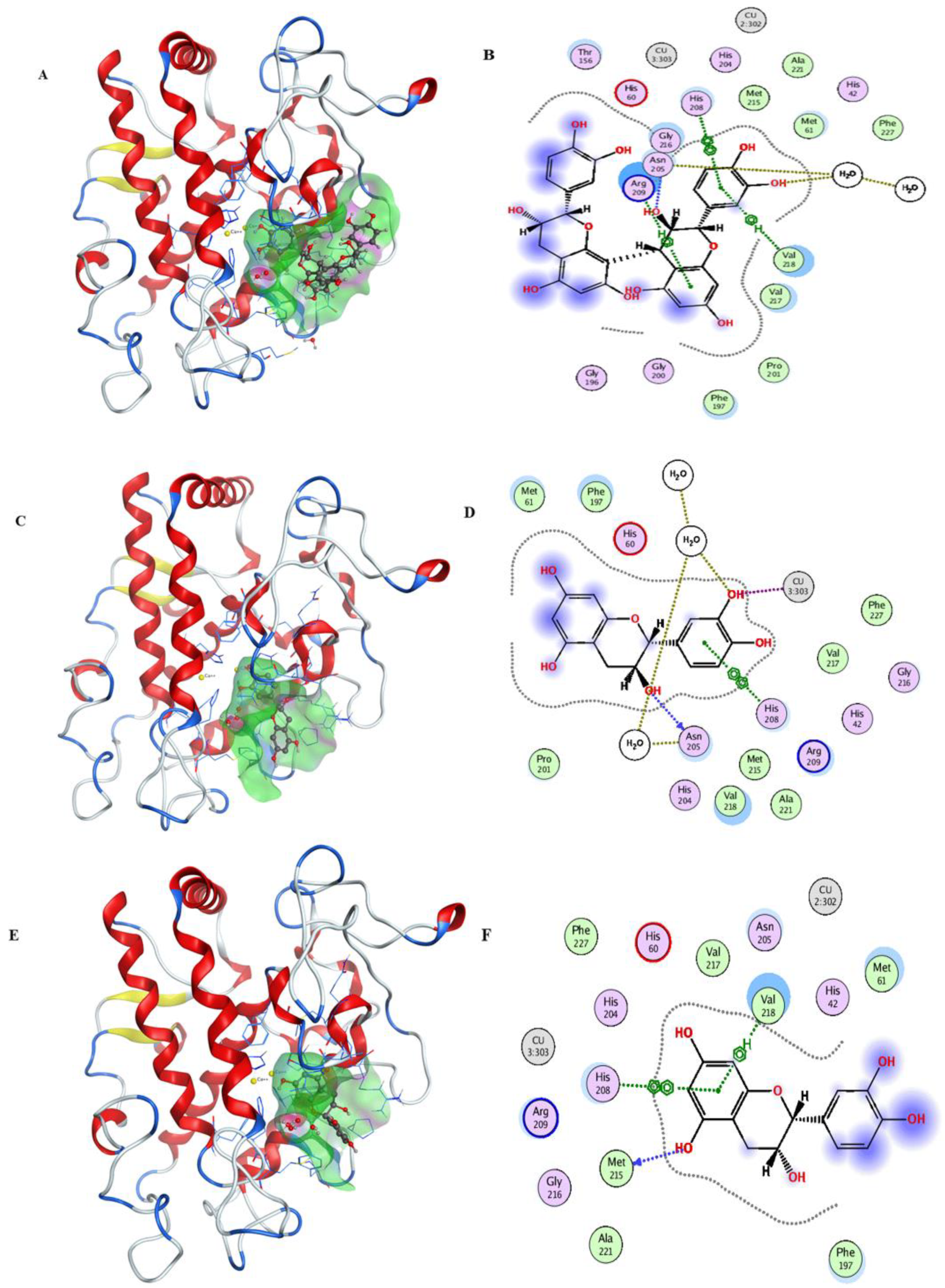 Molecules 25 01458 g003a