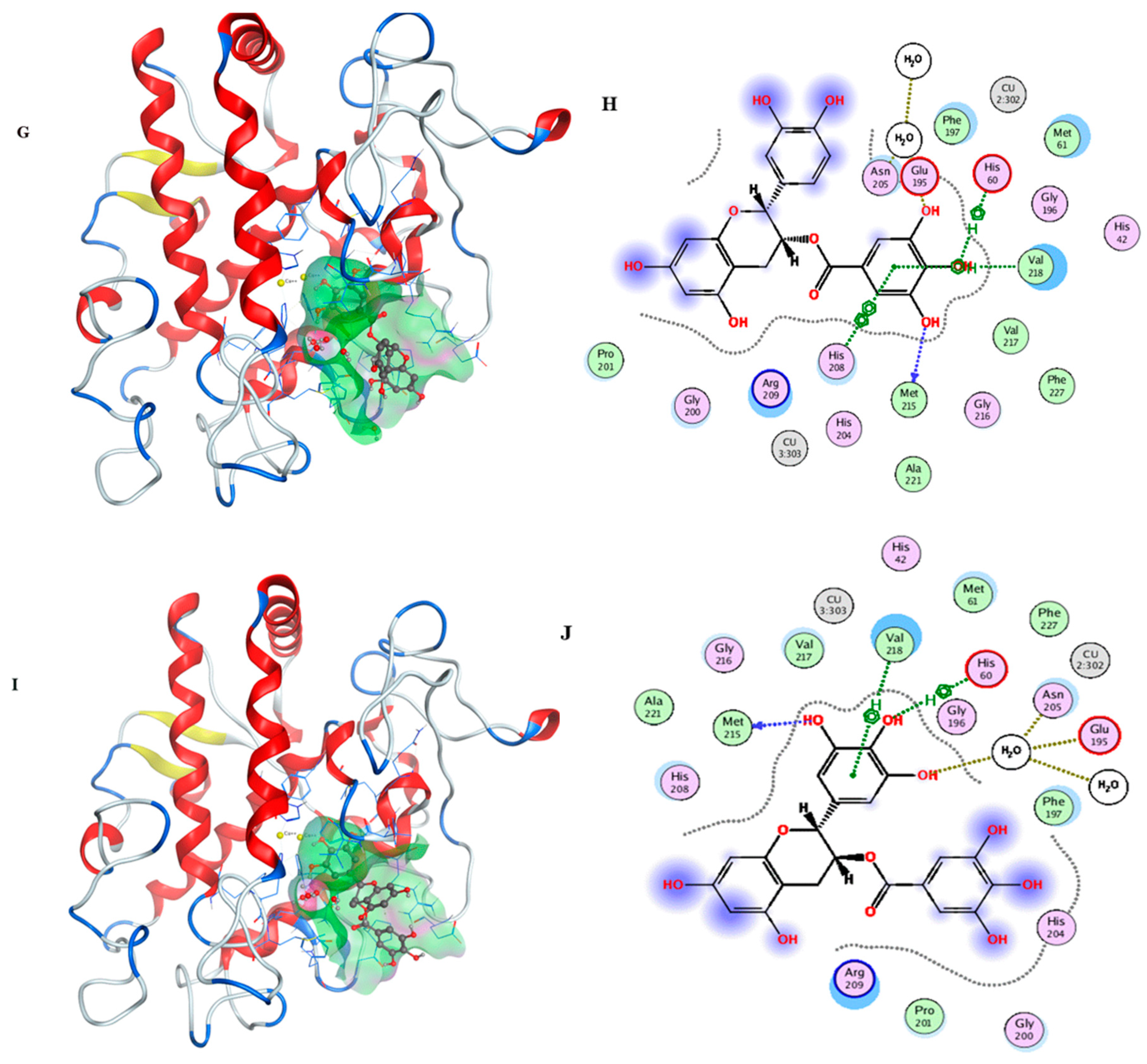 Molecules 25 01458 g003b