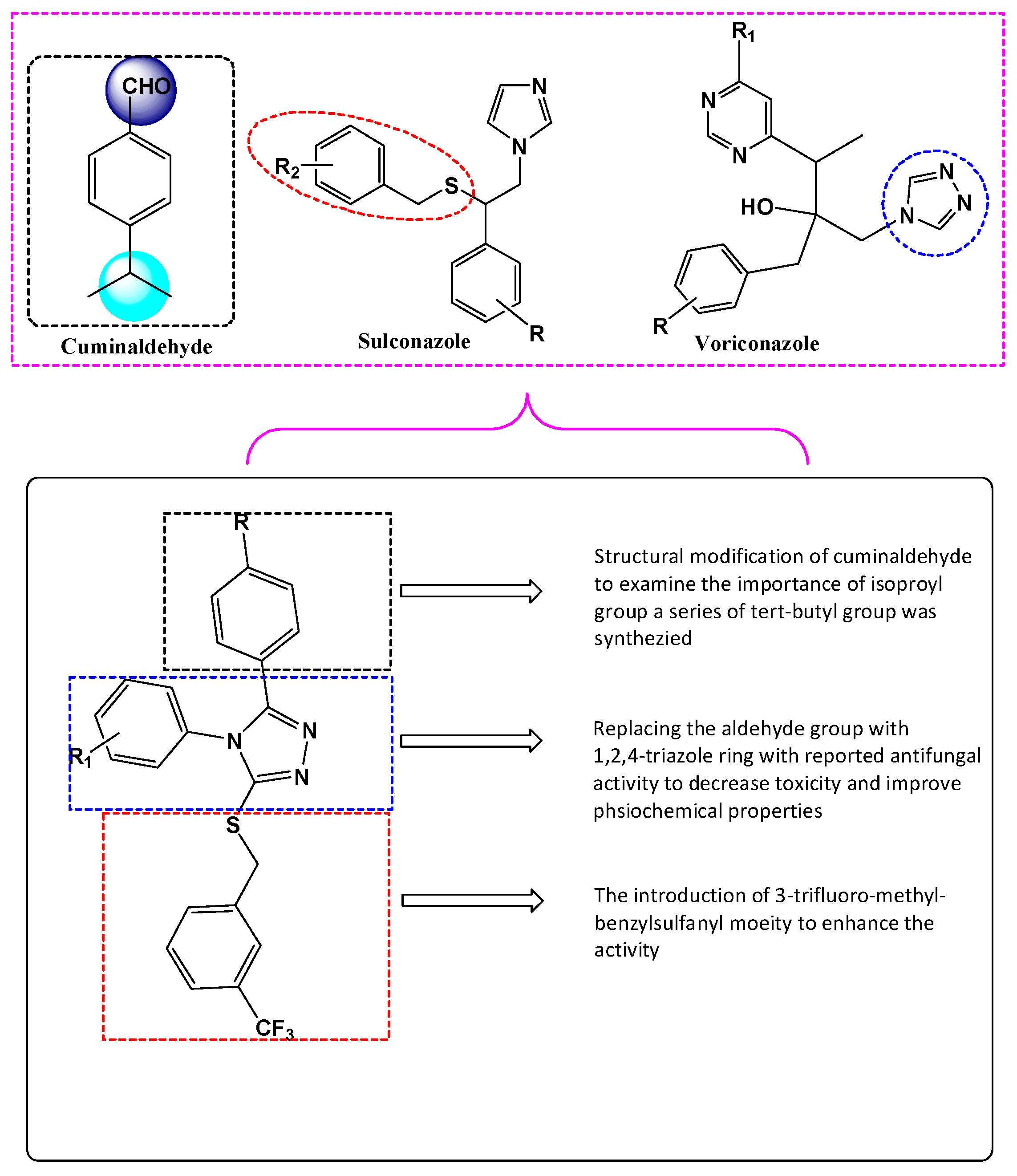 Molecules Free Full Text Essential Oil Based Design And Development Of Novel Anti Candida Azoles Formulation Html Molecules Free Full Text Essential Oil Based Design And Development Of Novel Anti Candida Azoles Formulation Html