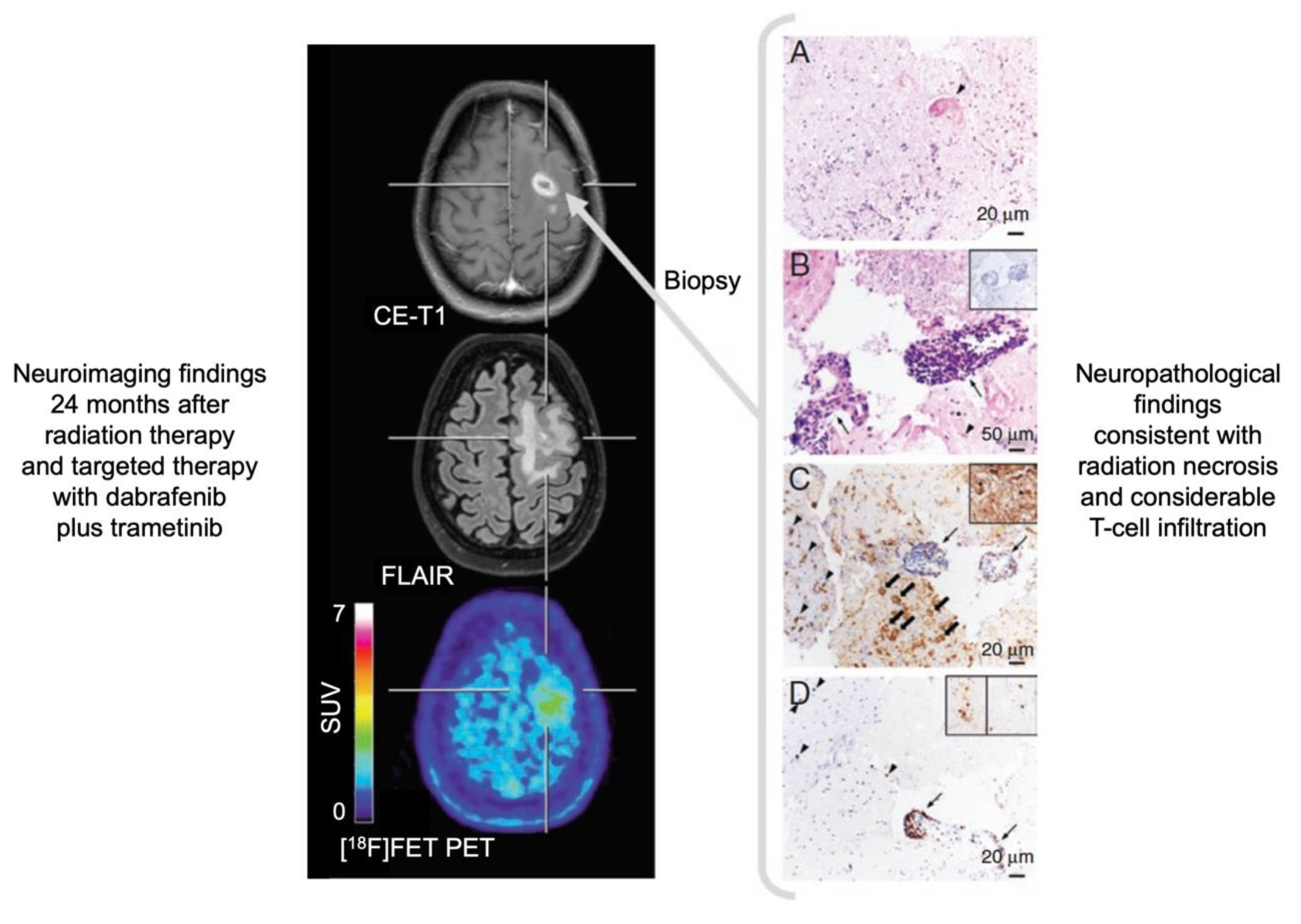 Molecules 25 01471 g002