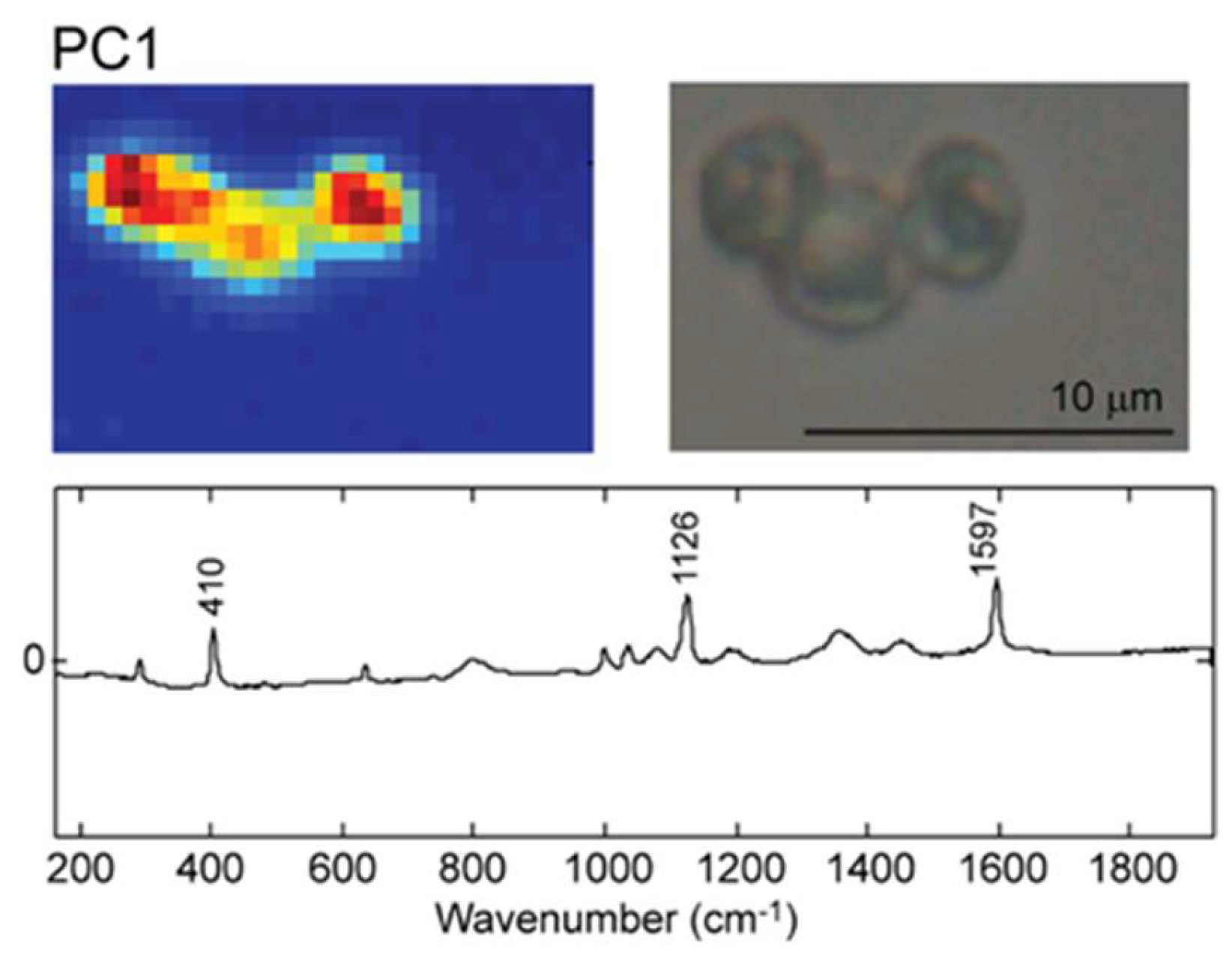 Molecules 25 01477 g002