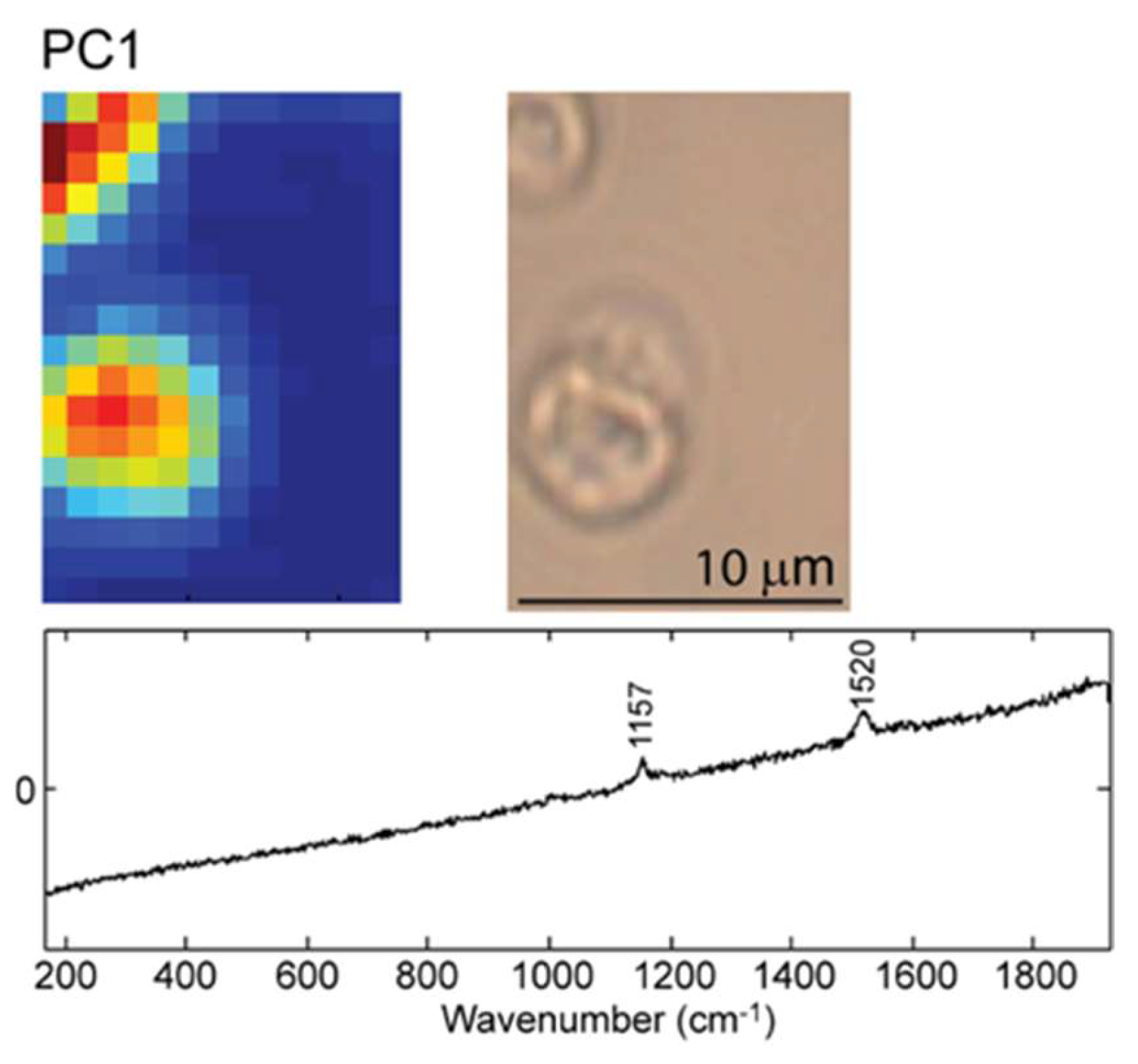Molecules 25 01477 g003