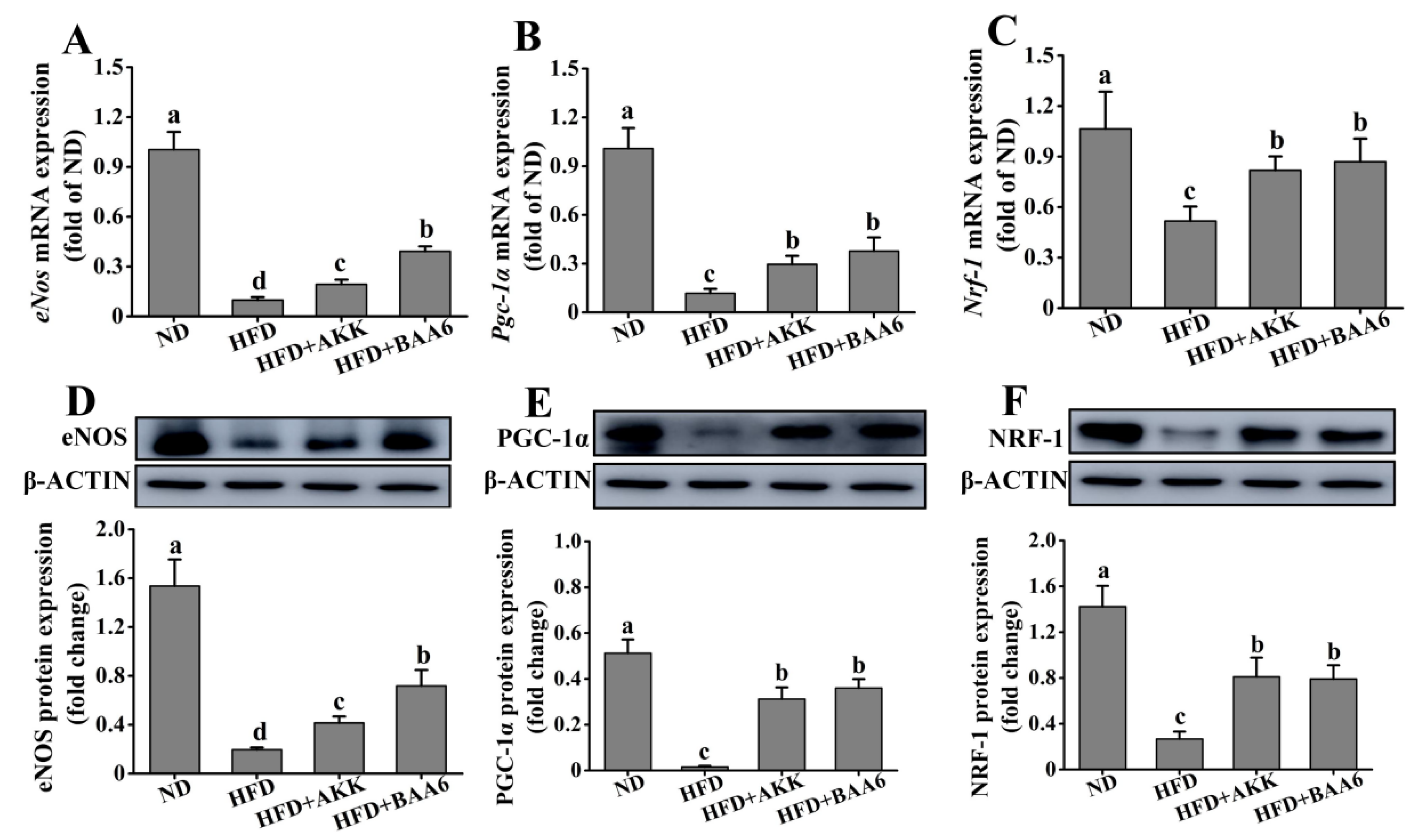 Molecules 25 01490 g005 Molecules 25 01490 g005