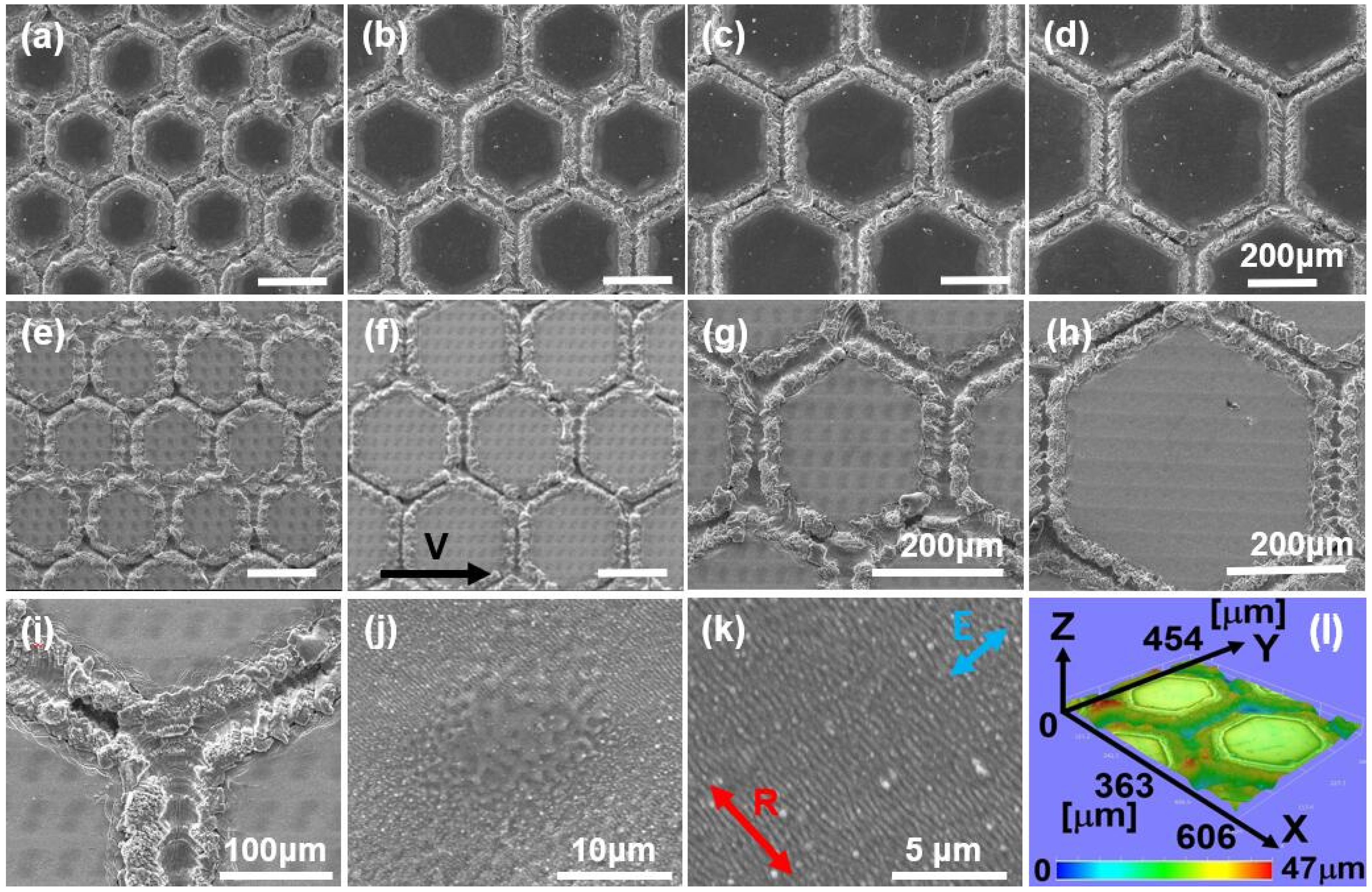 Molecules 25 01494 g002