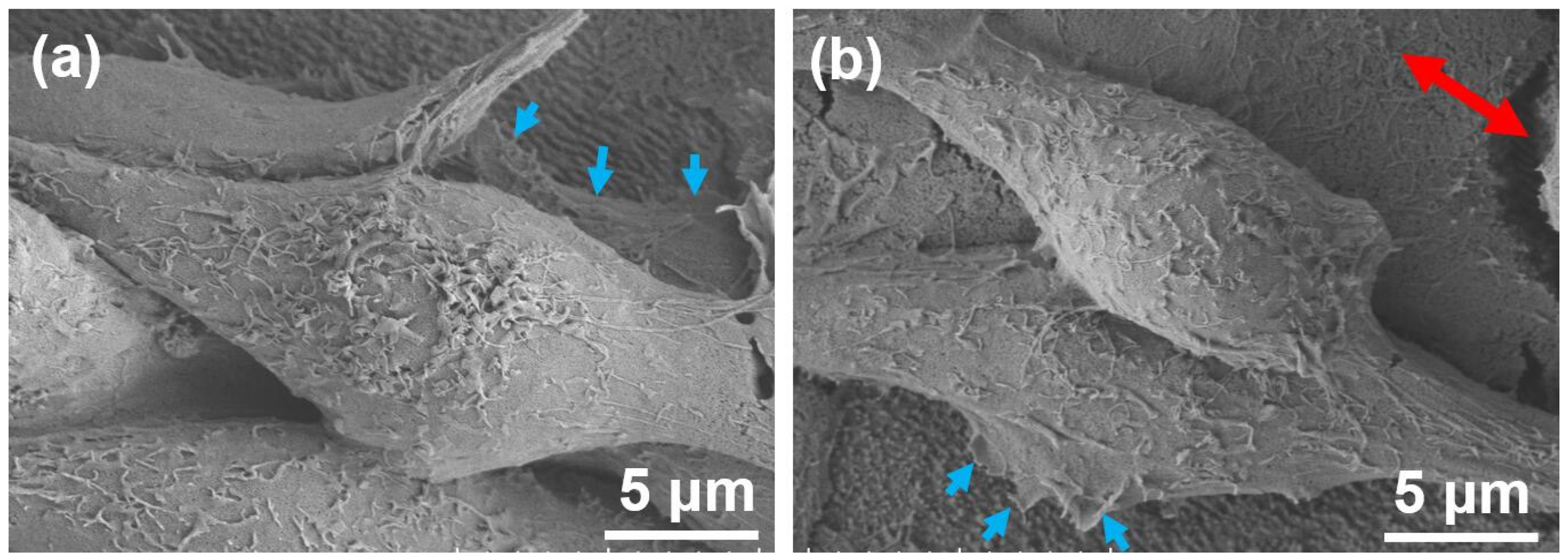 Molecules 25 01494 g007