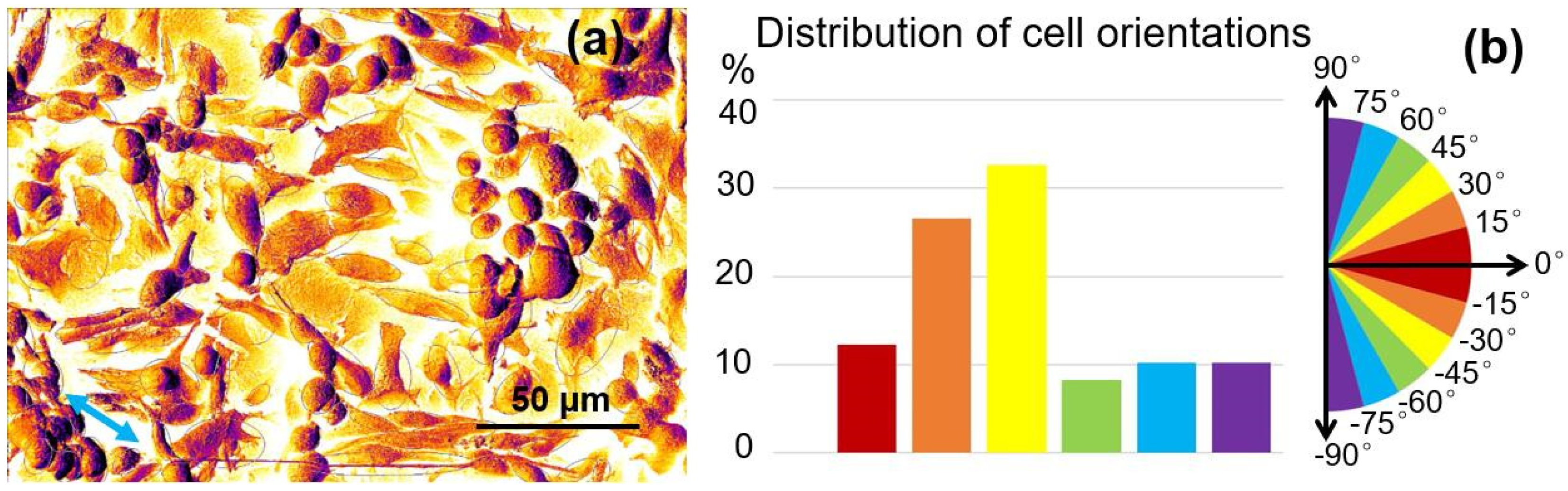 Molecules 25 01494 g008