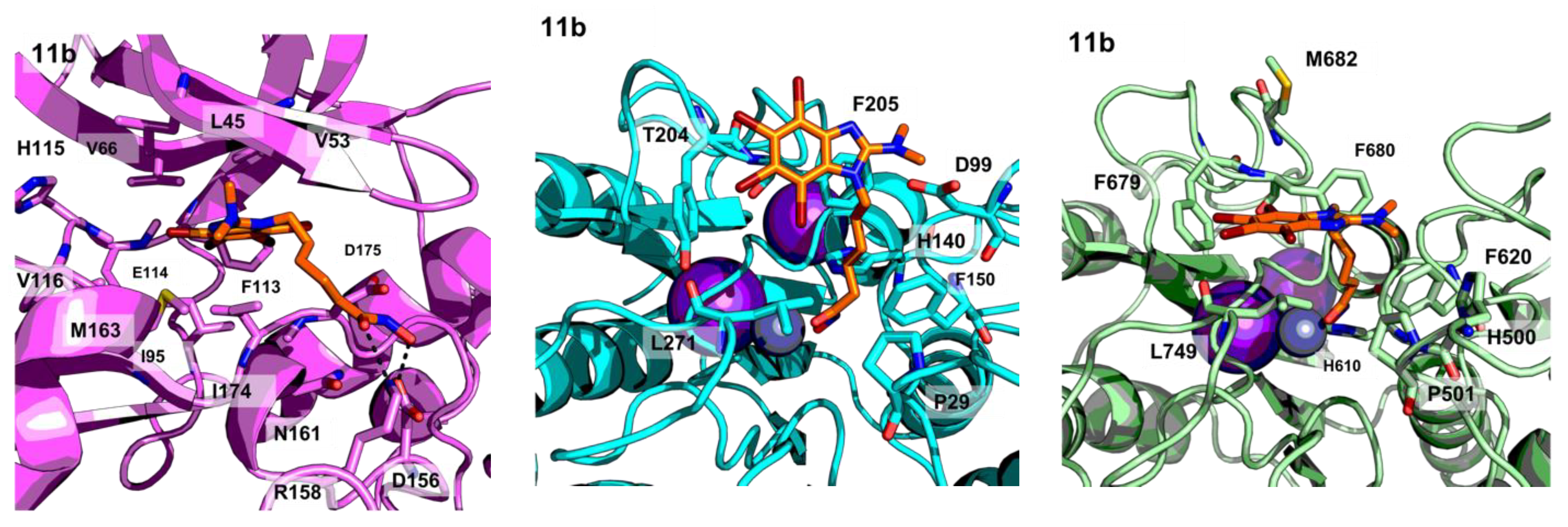 Molecules 25 01497 g005