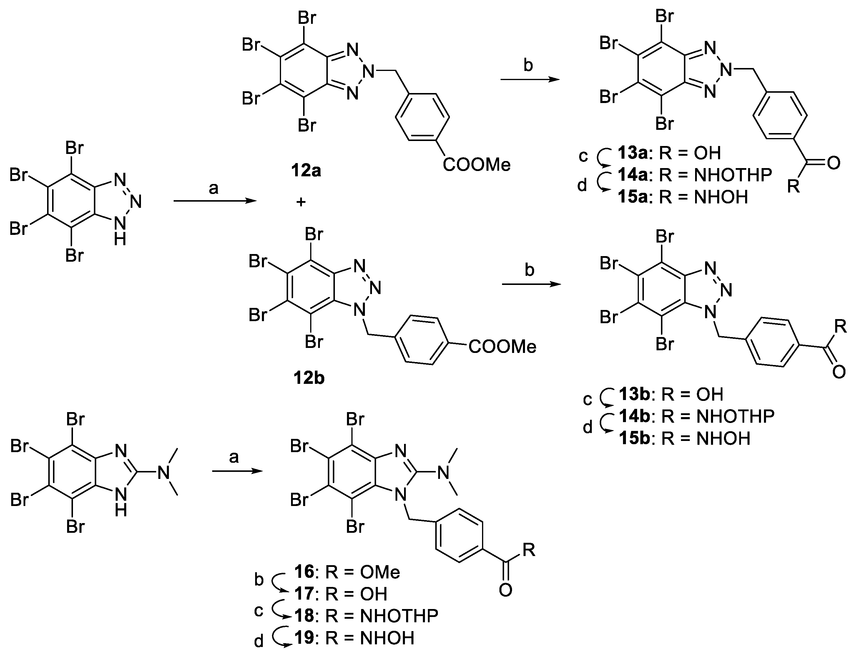 Molecules 25 01497 sch004