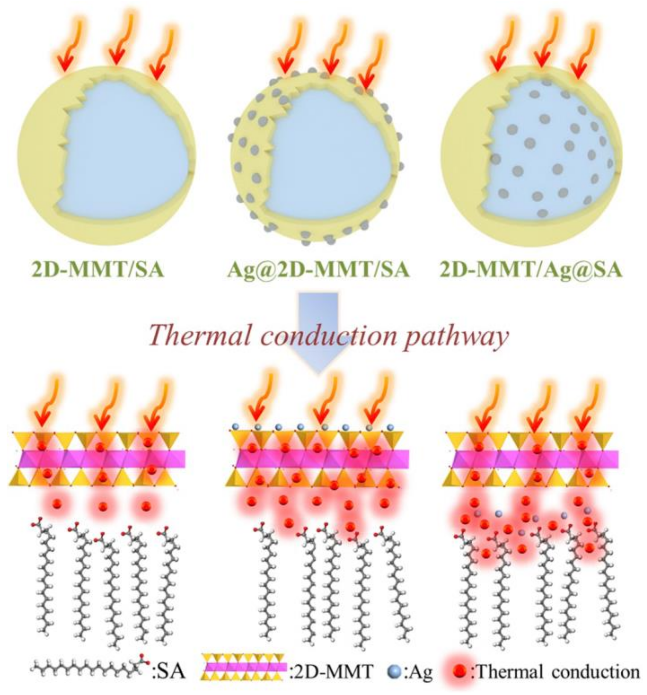 Molecules 25 01504 g004 Molecules 25 01504 g004