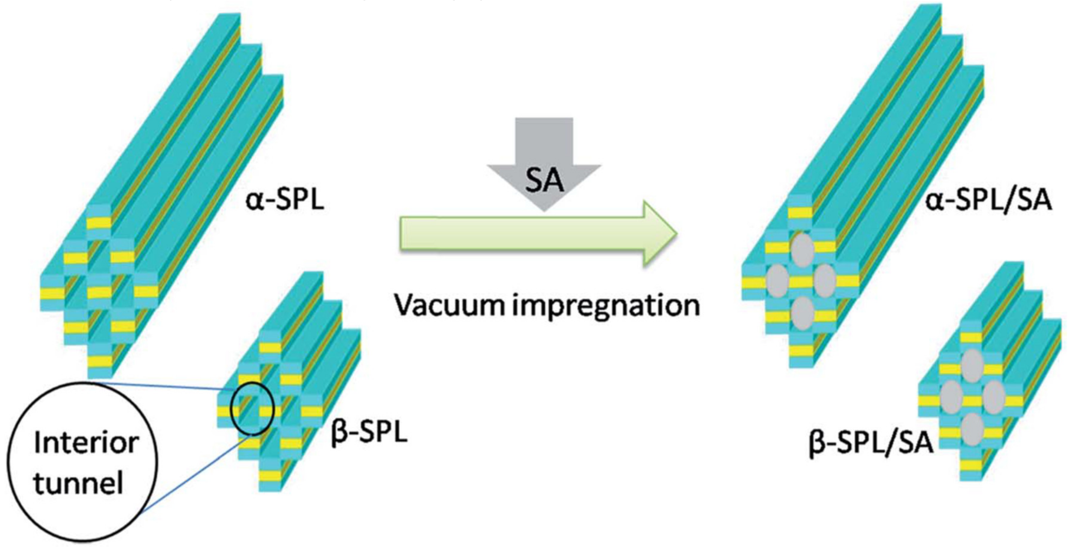 Molecules 25 01504 g005 Molecules 25 01504 g005