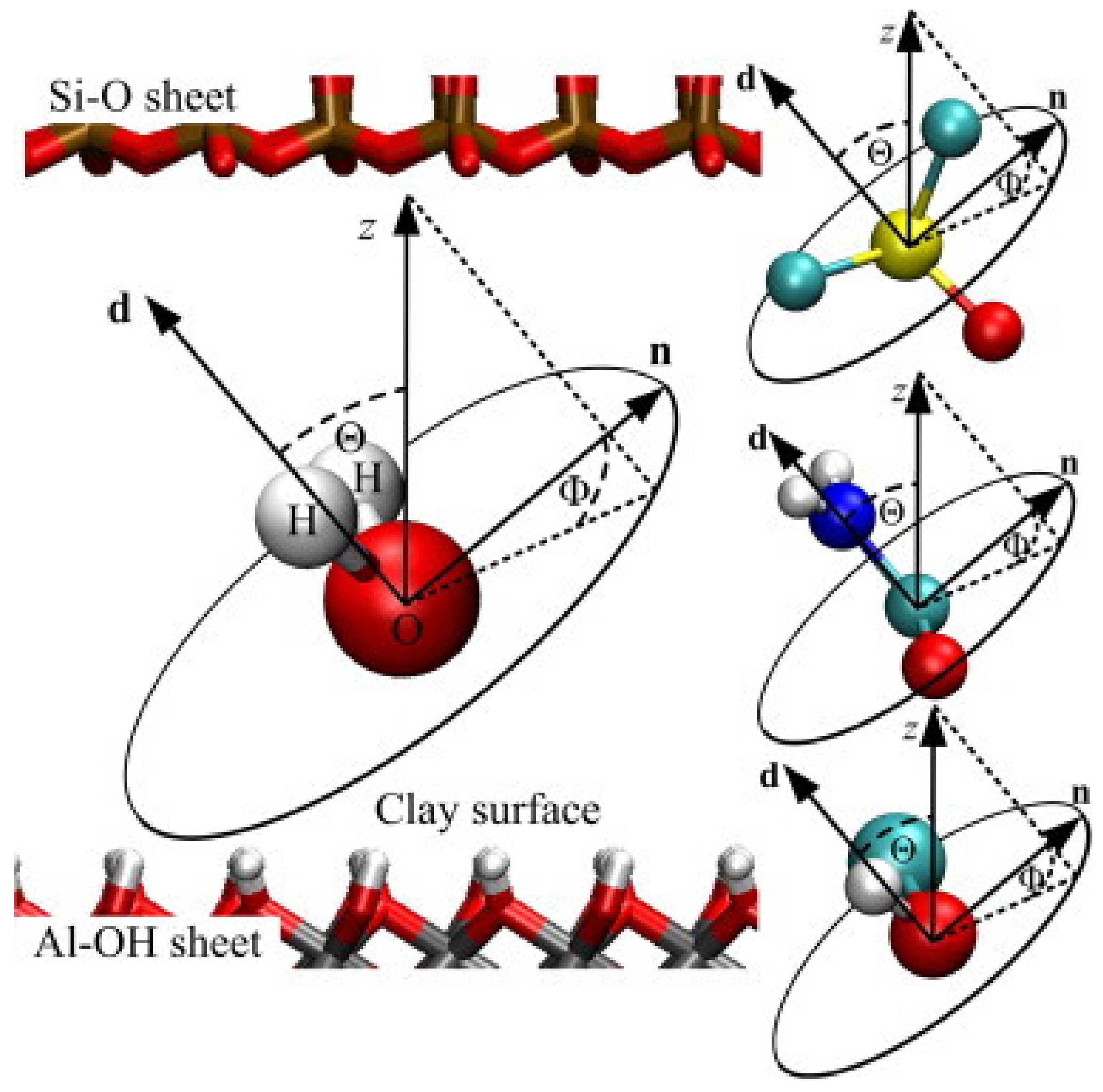 Molecules 25 01504 g006 Molecules 25 01504 g006