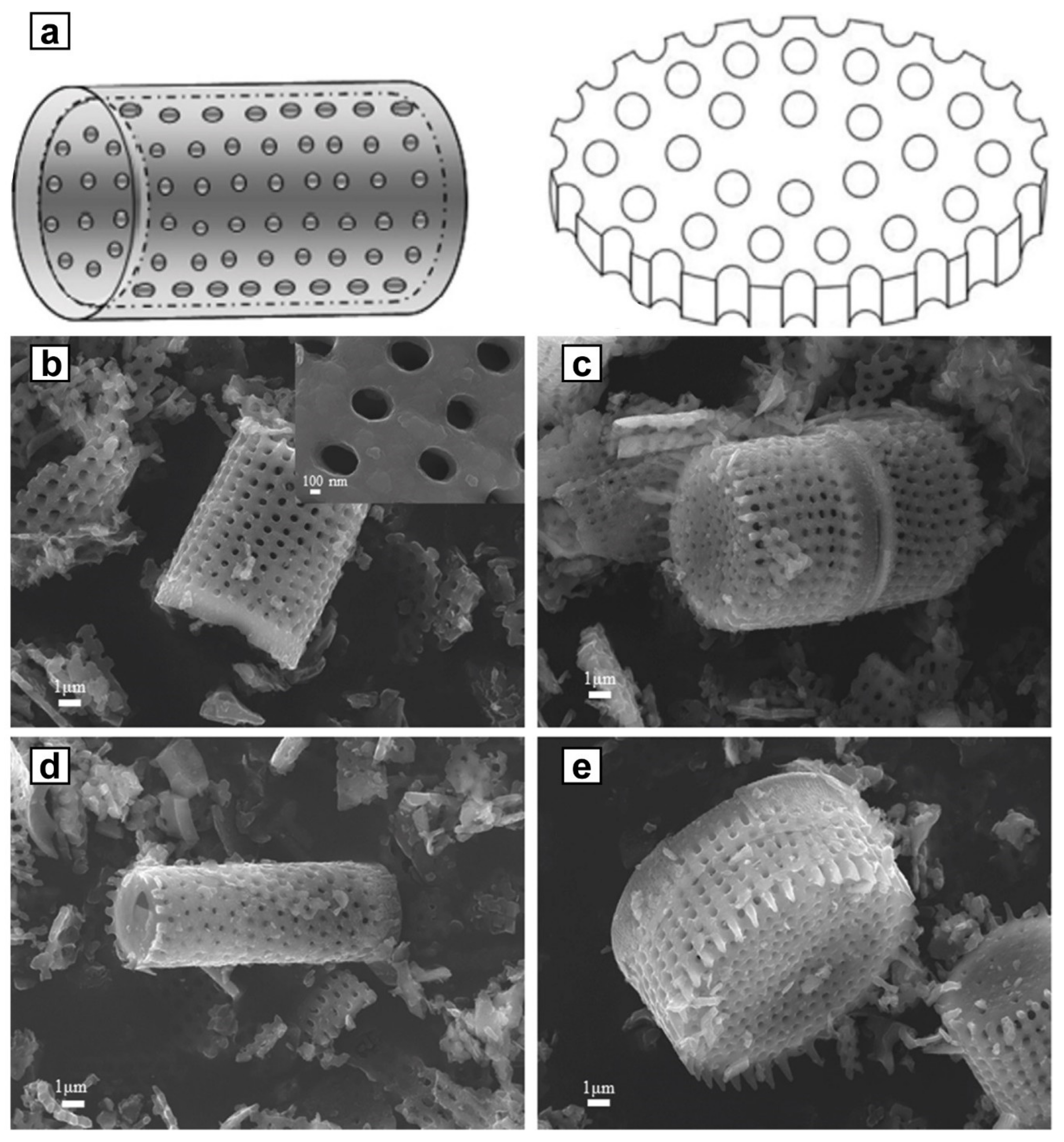 Molecules 25 01504 g007 Molecules 25 01504 g007