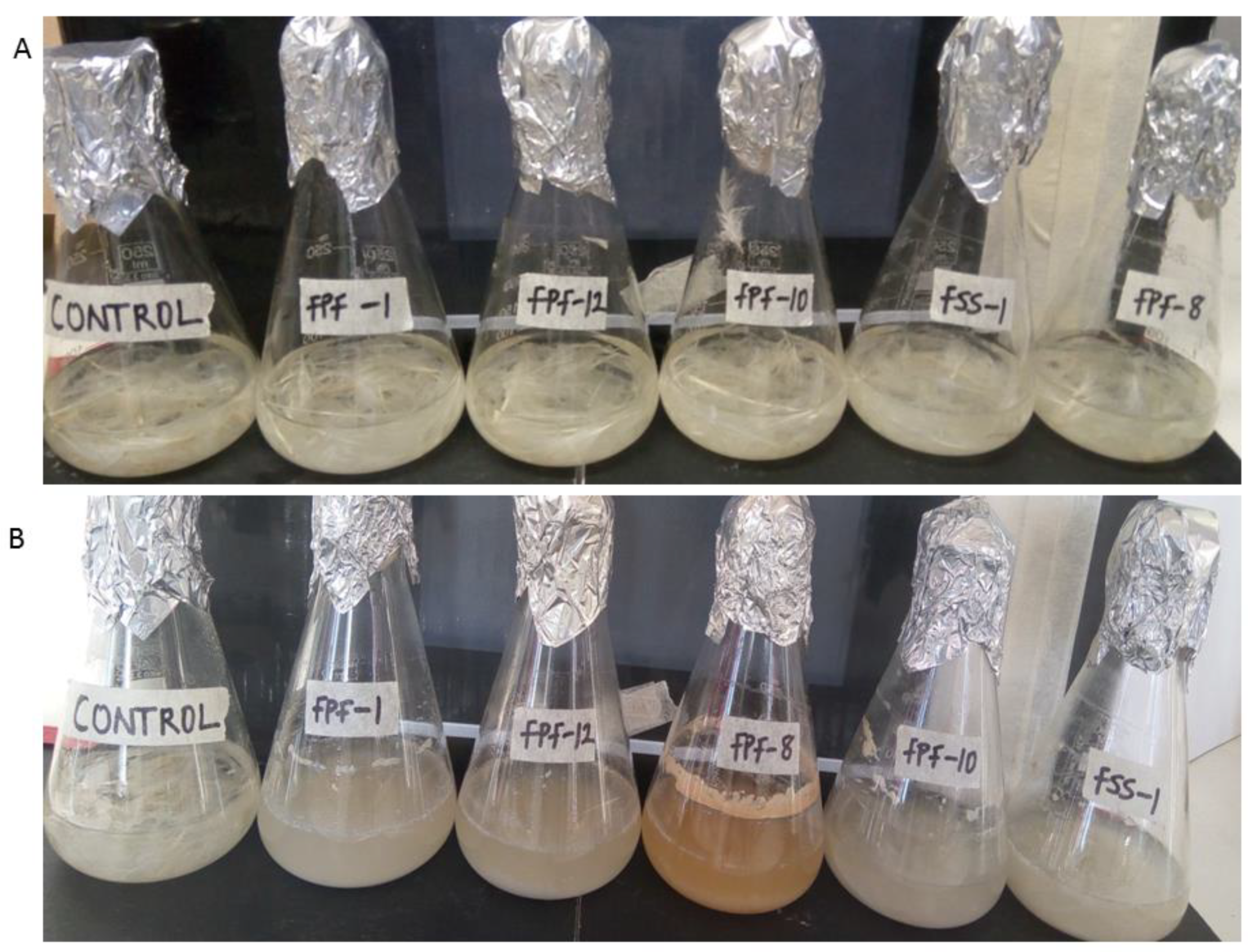 Molecules 25 01505 g001 Molecules 25 01505 g001