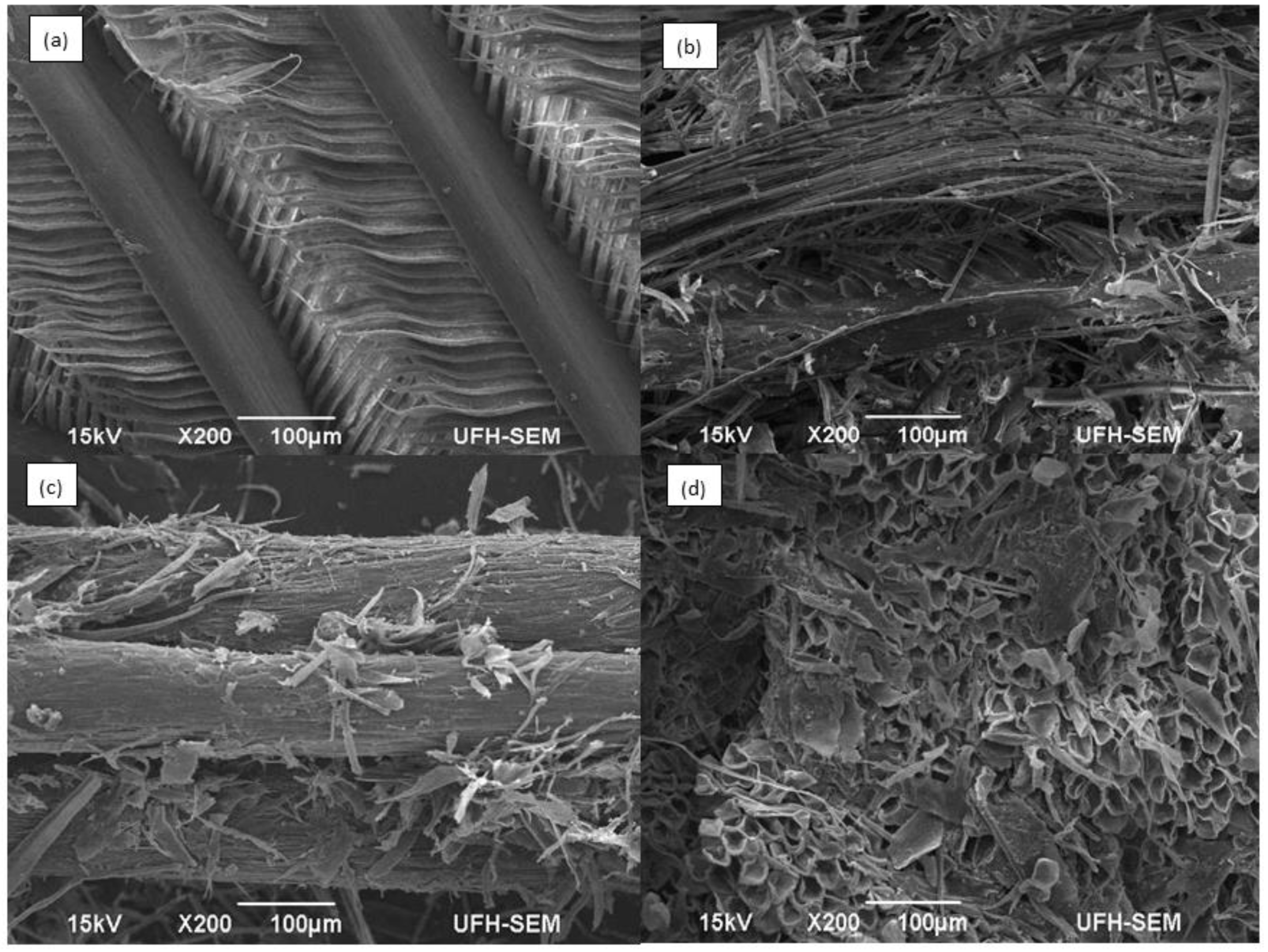 Molecules 25 01505 g010 Molecules 25 01505 g010