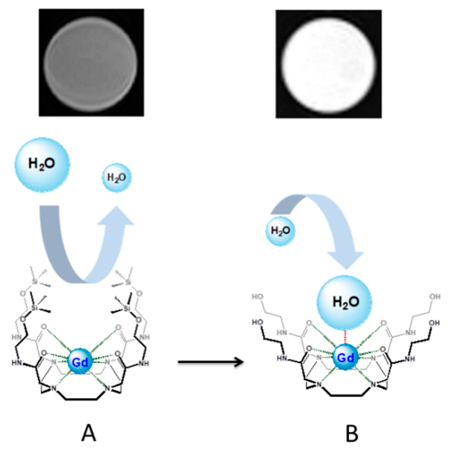 Molecules 25 01513 g001