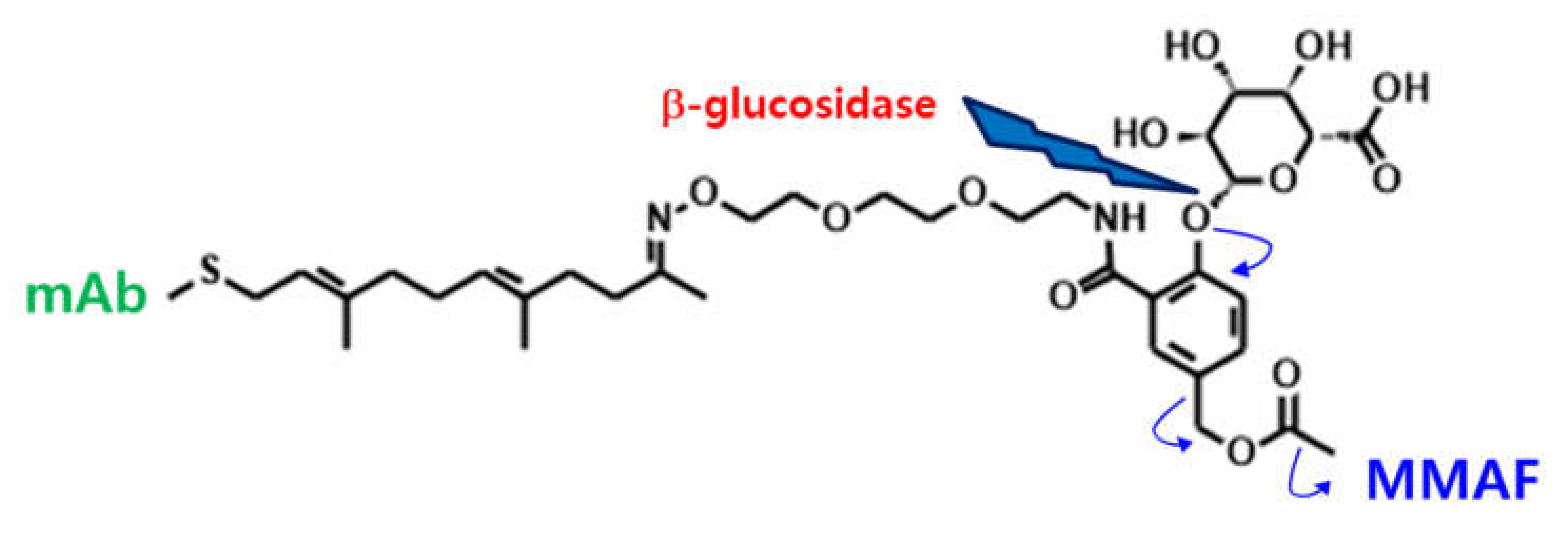 Molecules 25 01515 g007
