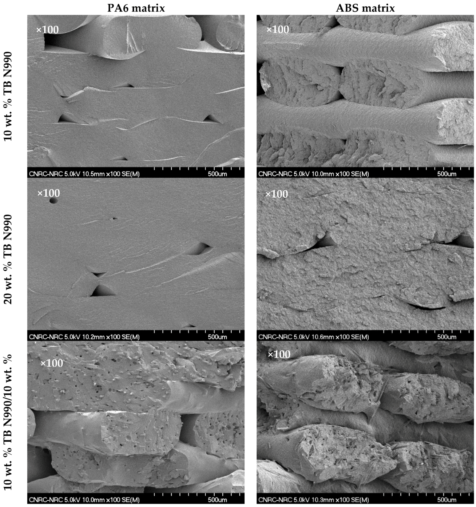 Molecules 25 01517 g014