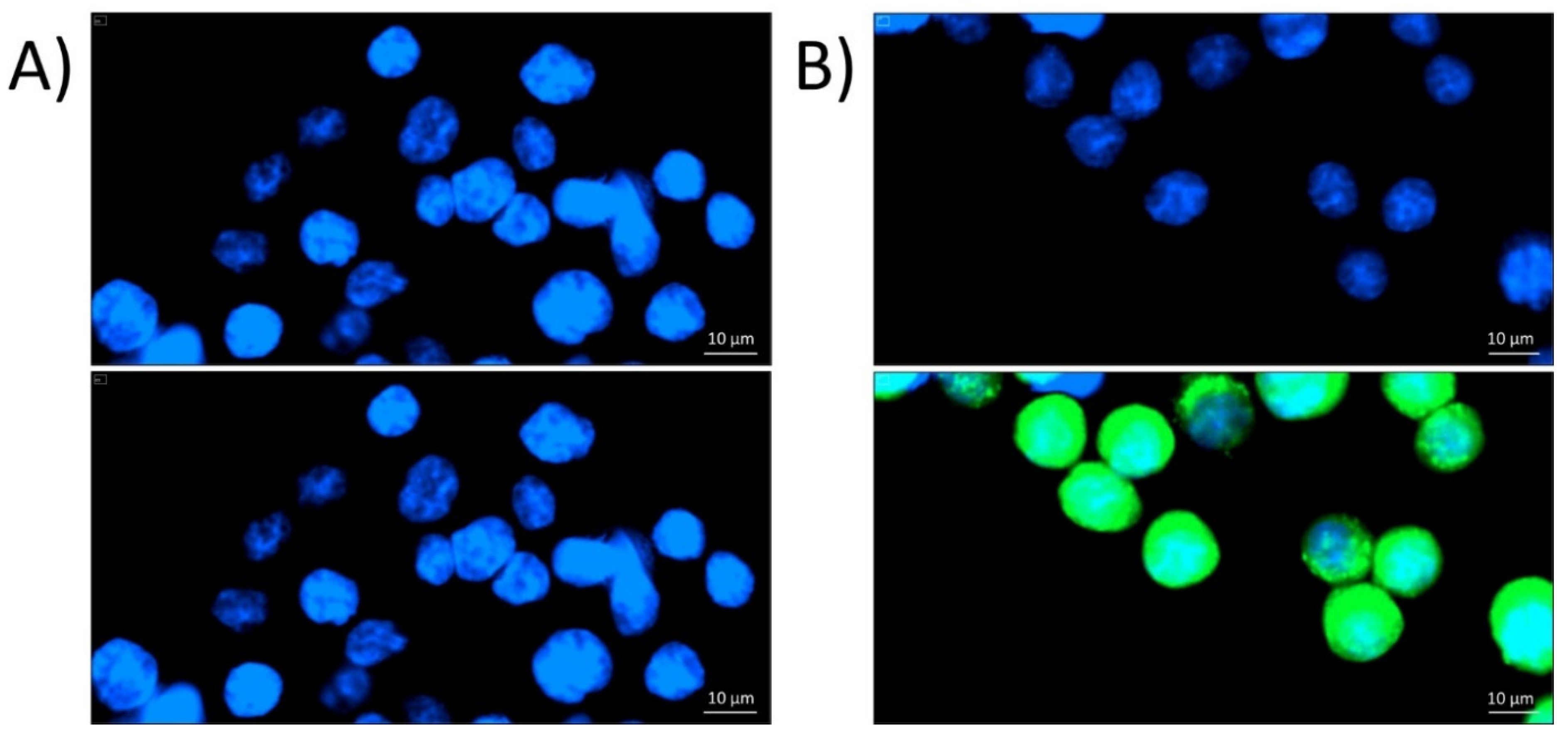 Molecules 25 01524 g002 Molecules 25 01524 g002