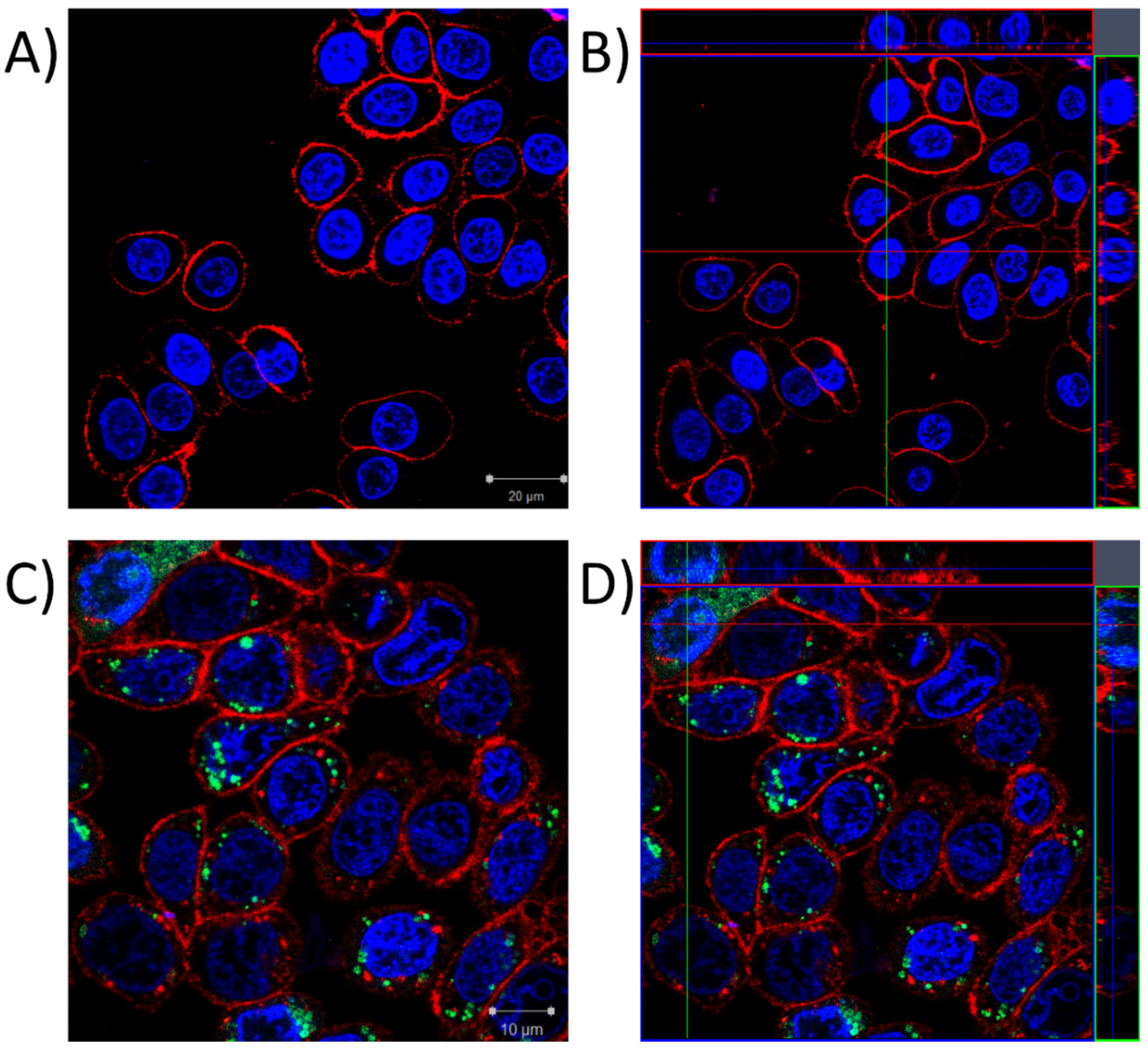 Molecules 25 01524 g004 Molecules 25 01524 g004