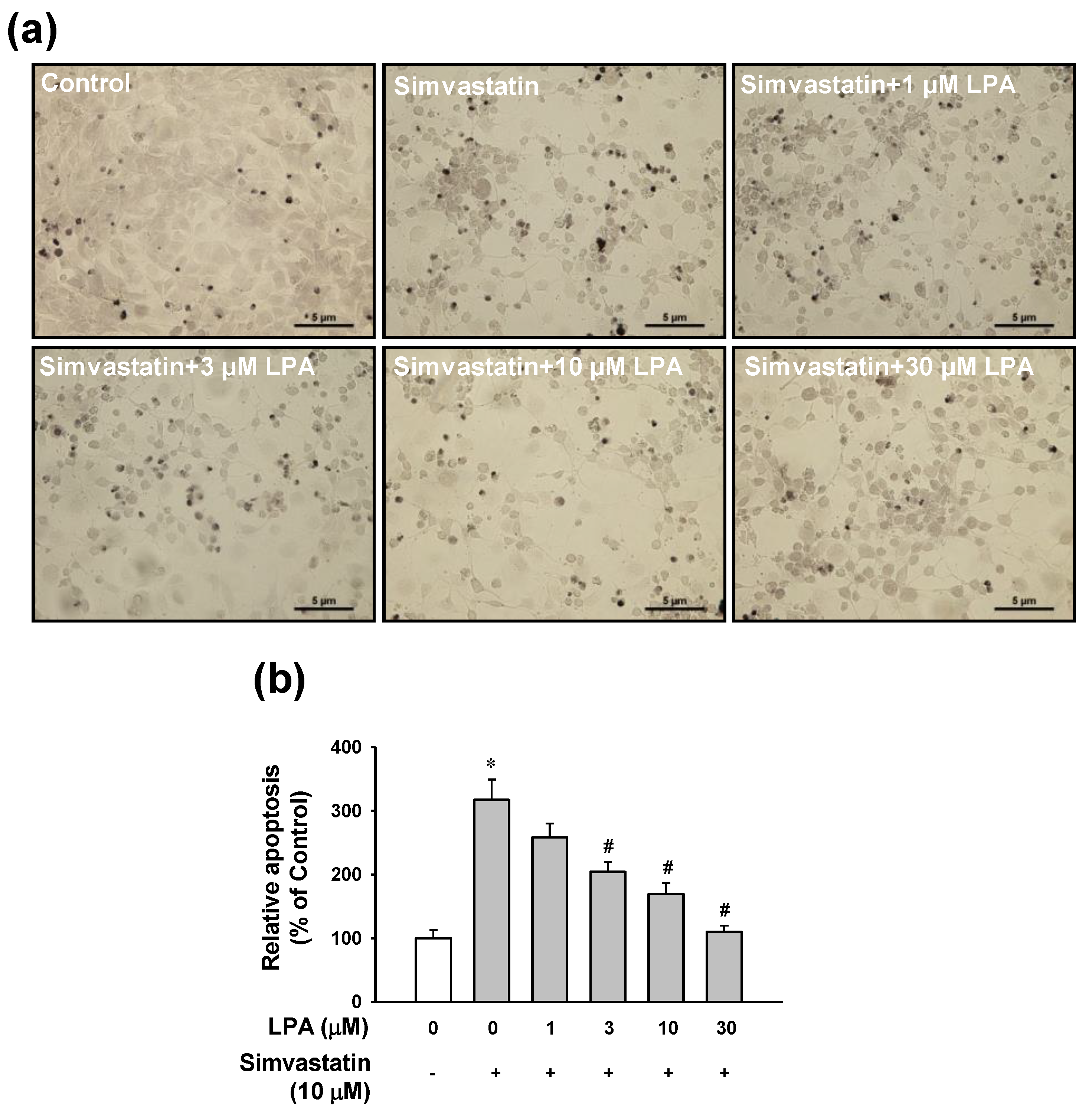 Molecules 25 01529 g002 Molecules 25 01529 g002