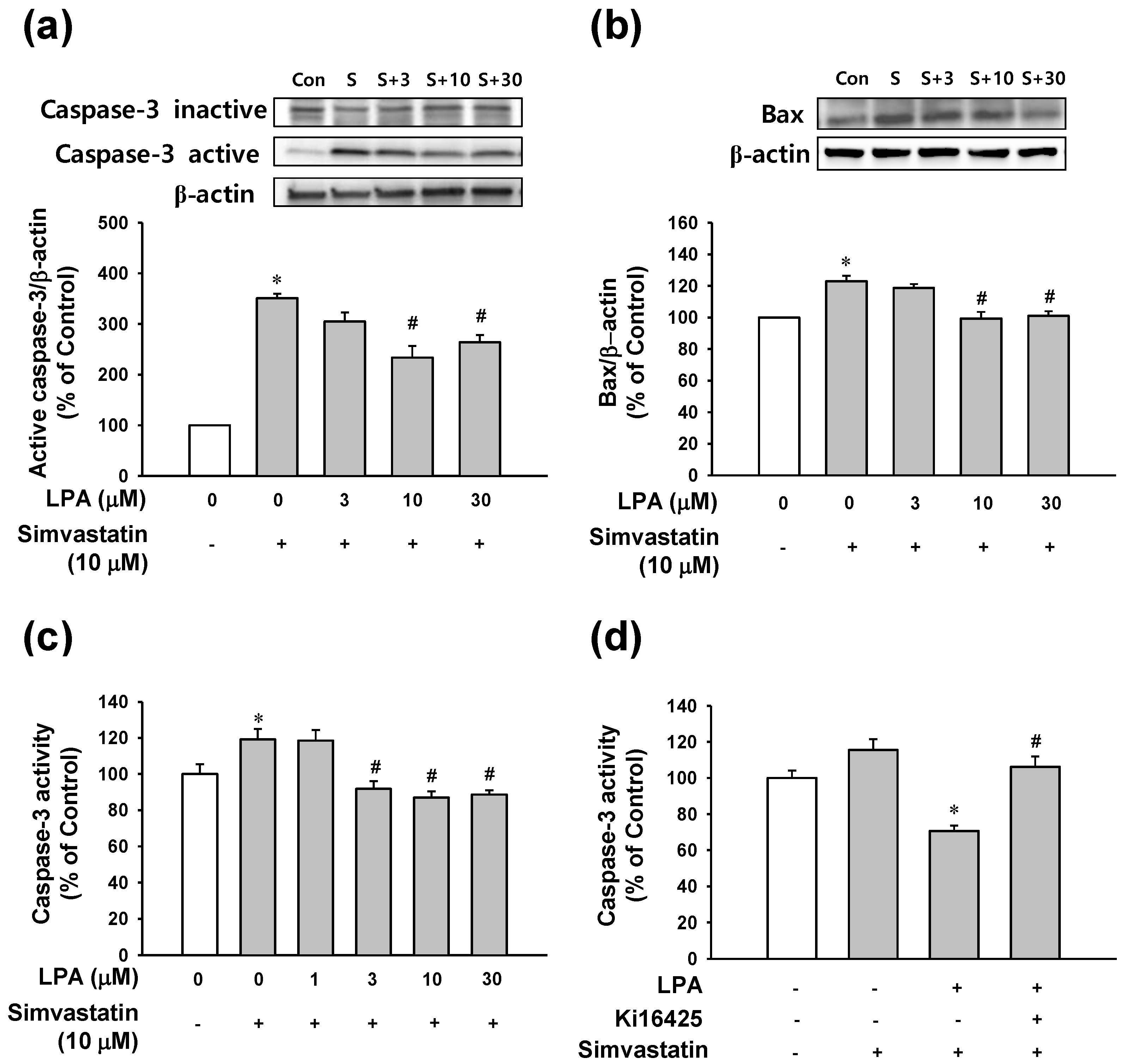 Molecules 25 01529 g003 Molecules 25 01529 g003