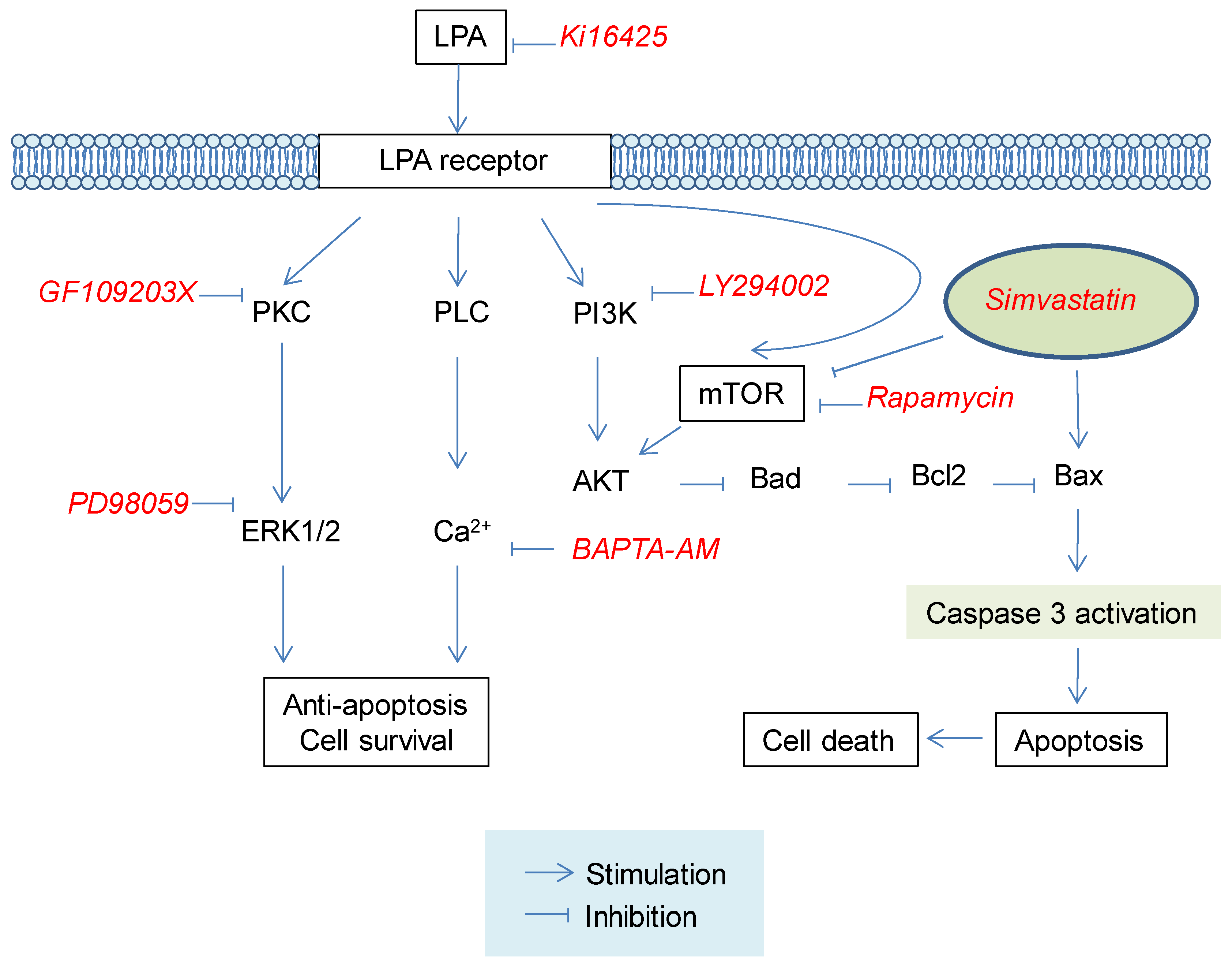 Molecules 25 01529 g006 Molecules 25 01529 g006