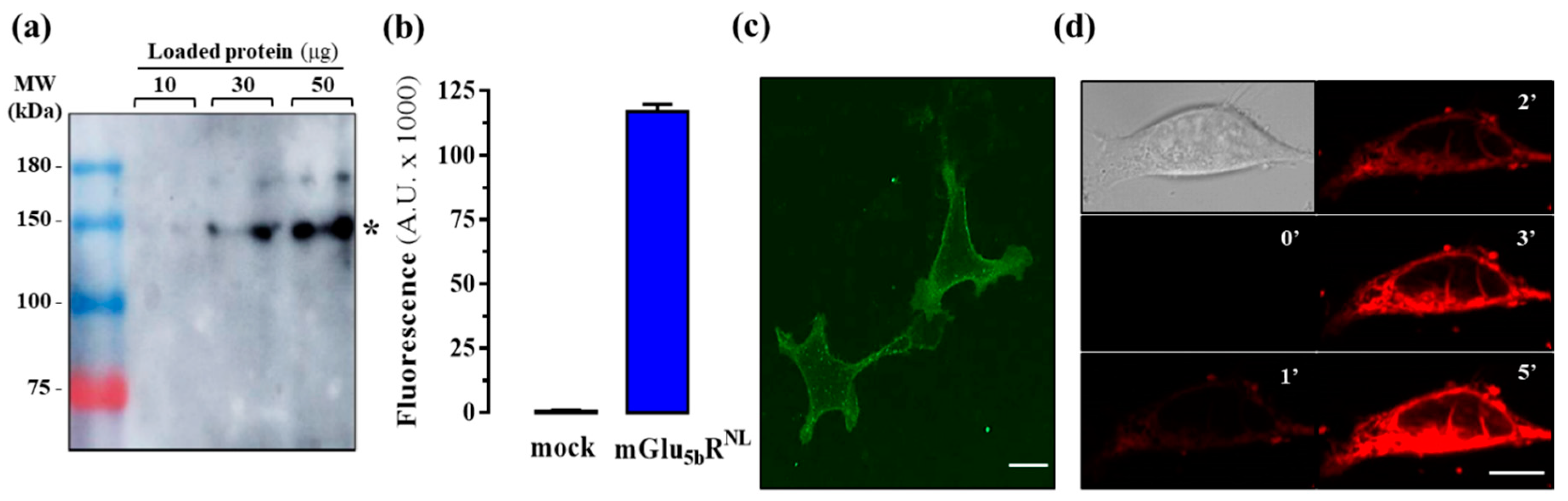 Molecules 25 01532 g004