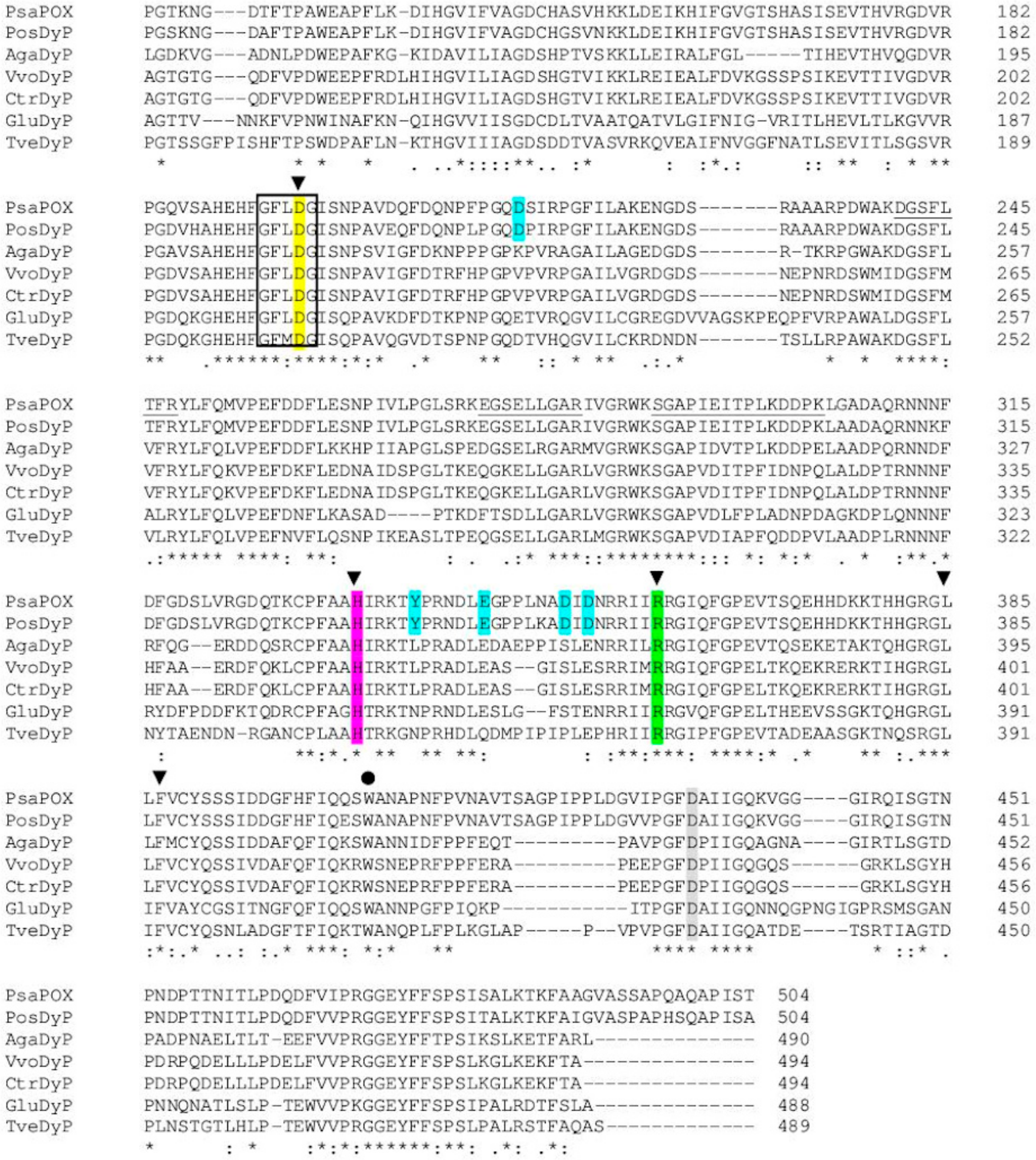 Molecules 25 01536 g003b Molecules 25 01536 g003b