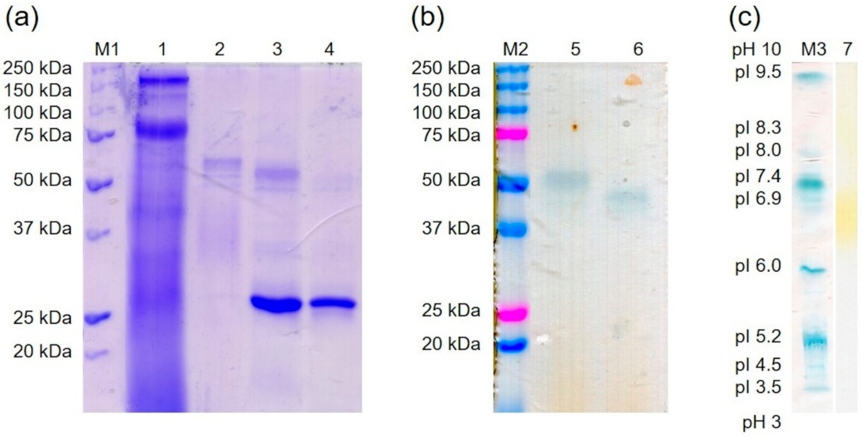Molecules 25 01536 g004 Molecules 25 01536 g004