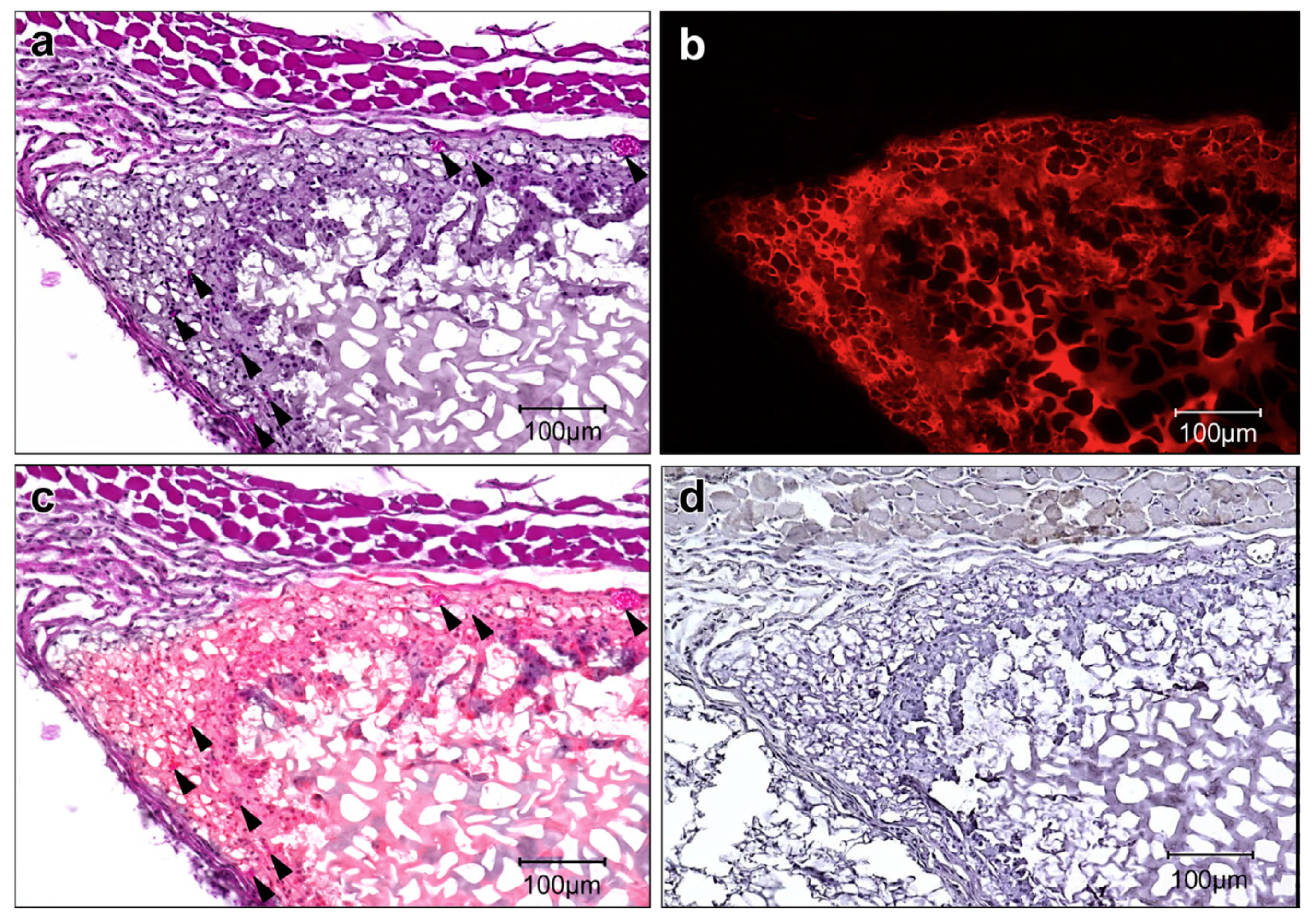 Molecules 25 01539 g003 Molecules 25 01539 g003