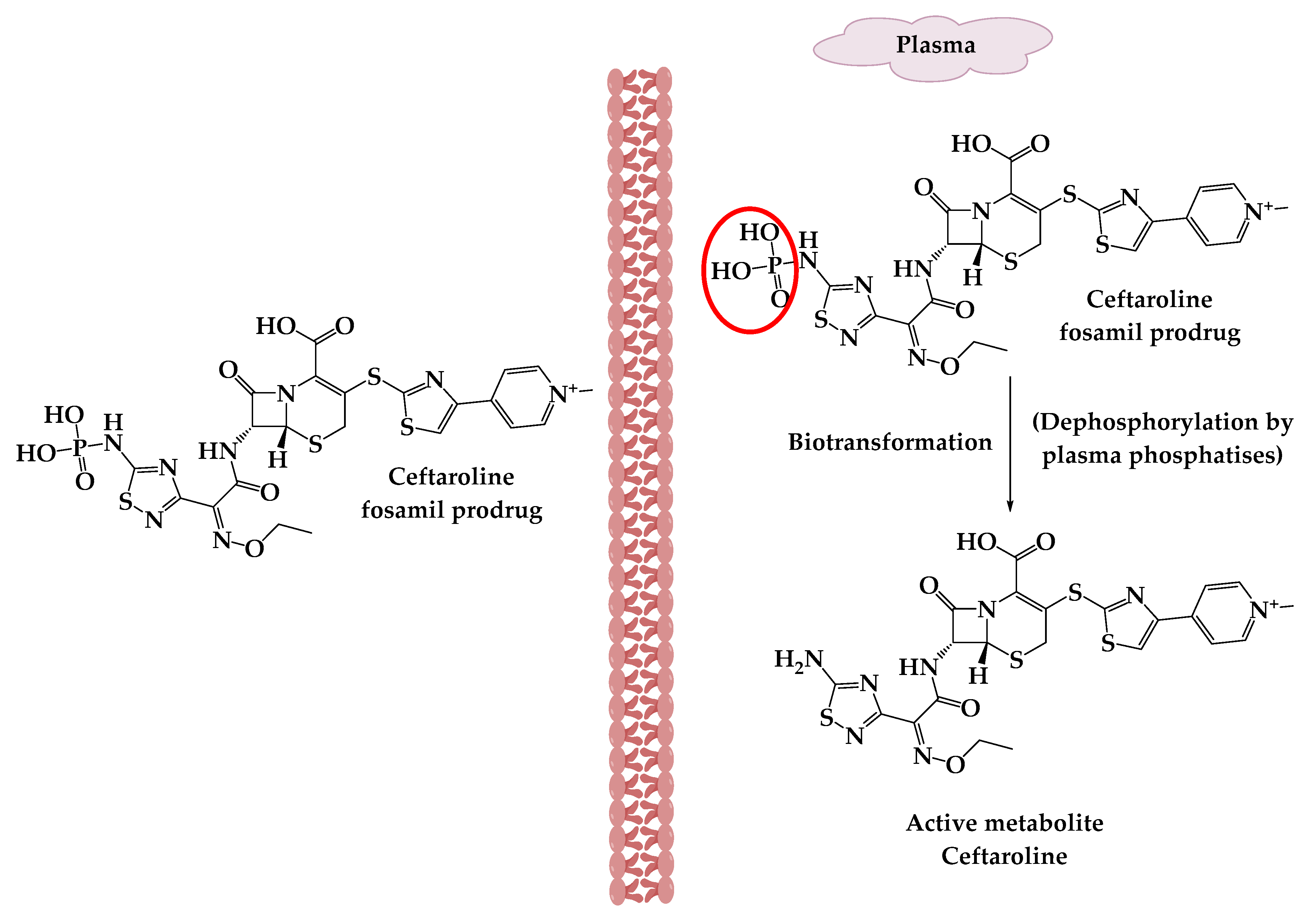 Molecules 25 01543 g003 Molecules 25 01543 g003
