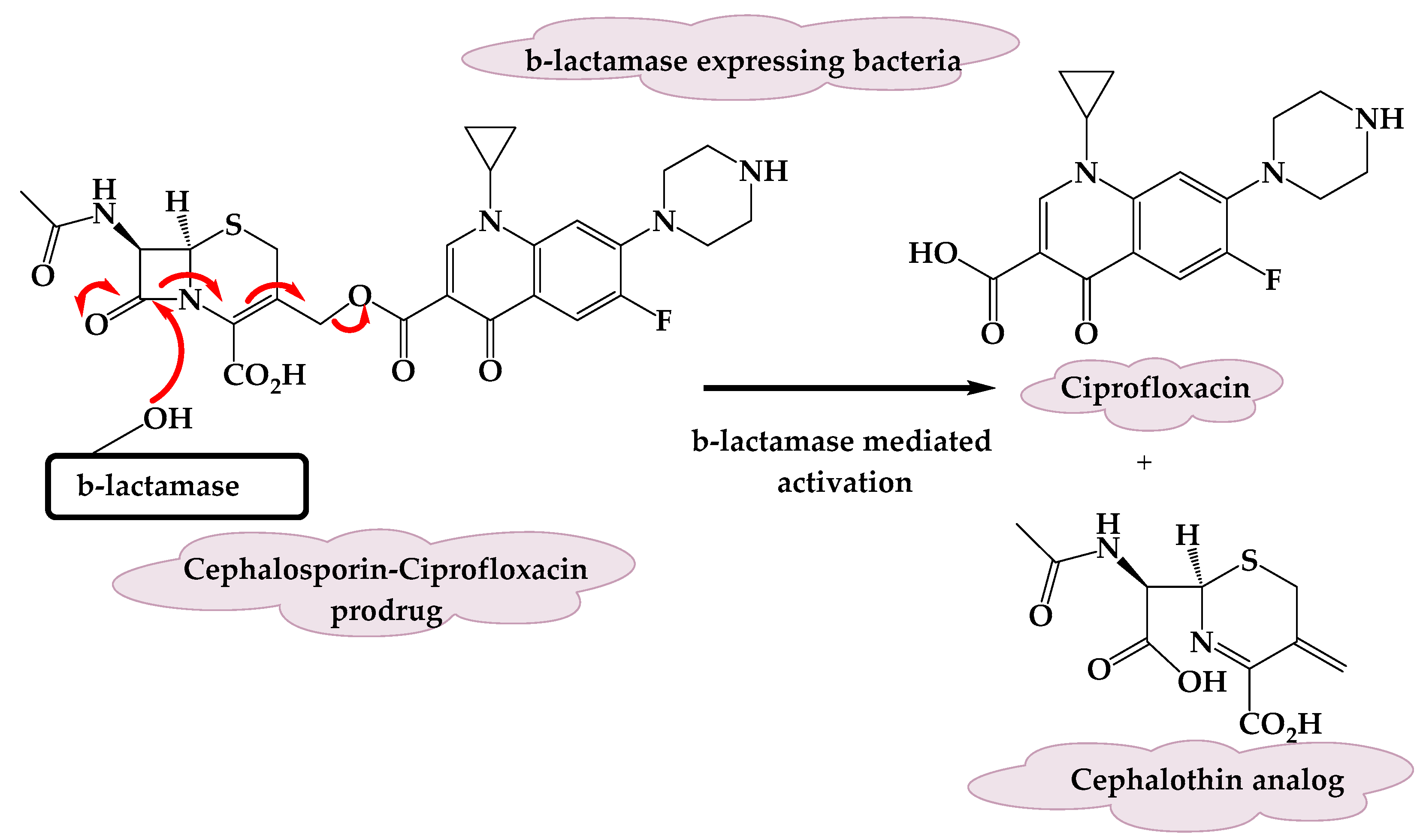 Molecules 25 01543 g004 Molecules 25 01543 g004