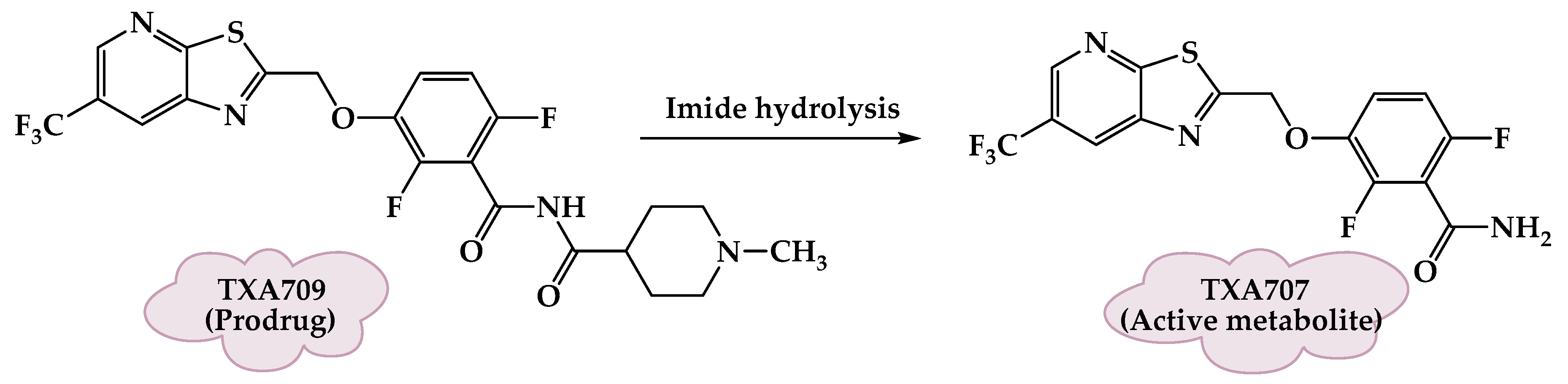 Molecules 25 01543 g008 Molecules 25 01543 g008