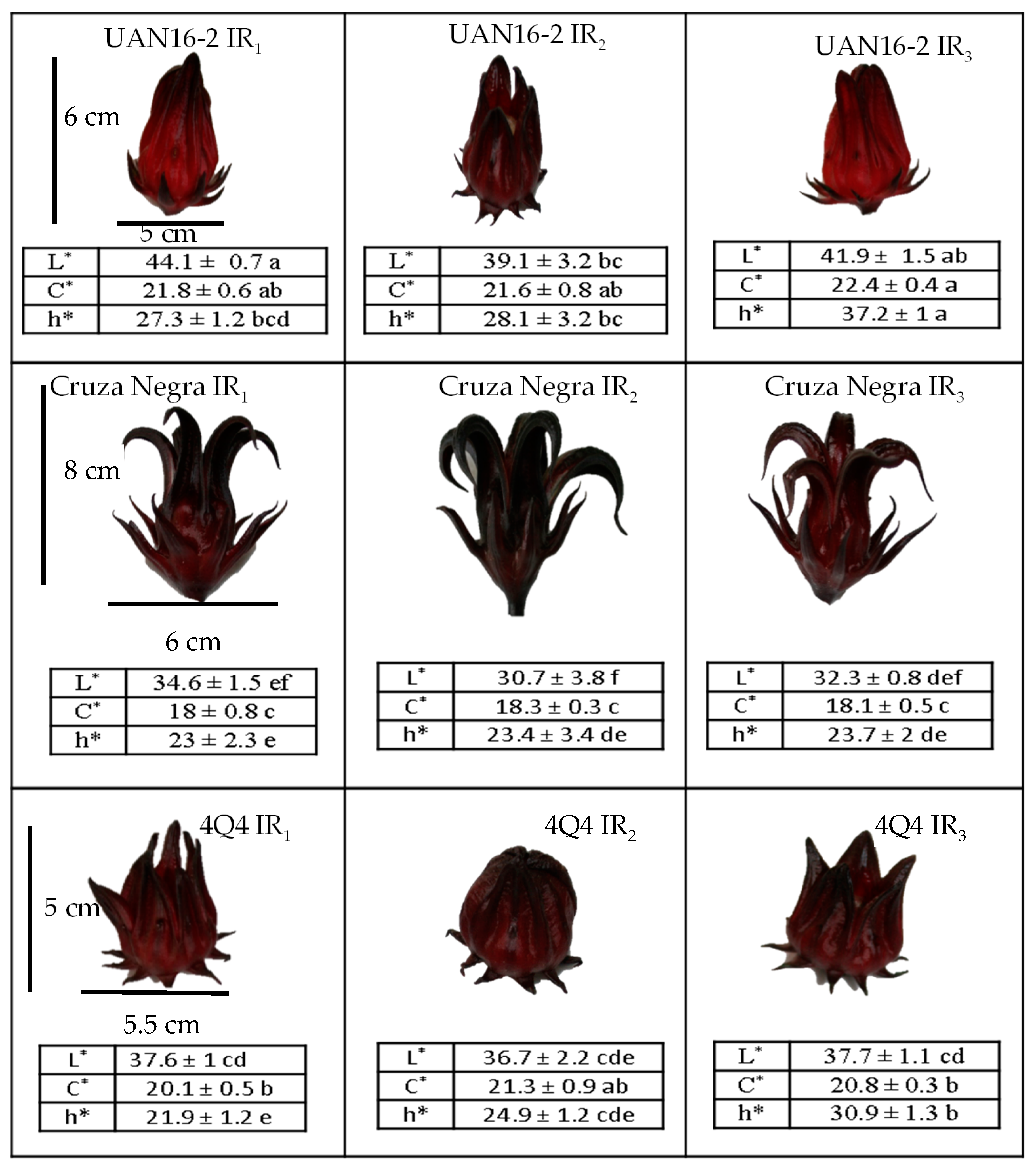 Molecules 25 01555 g003