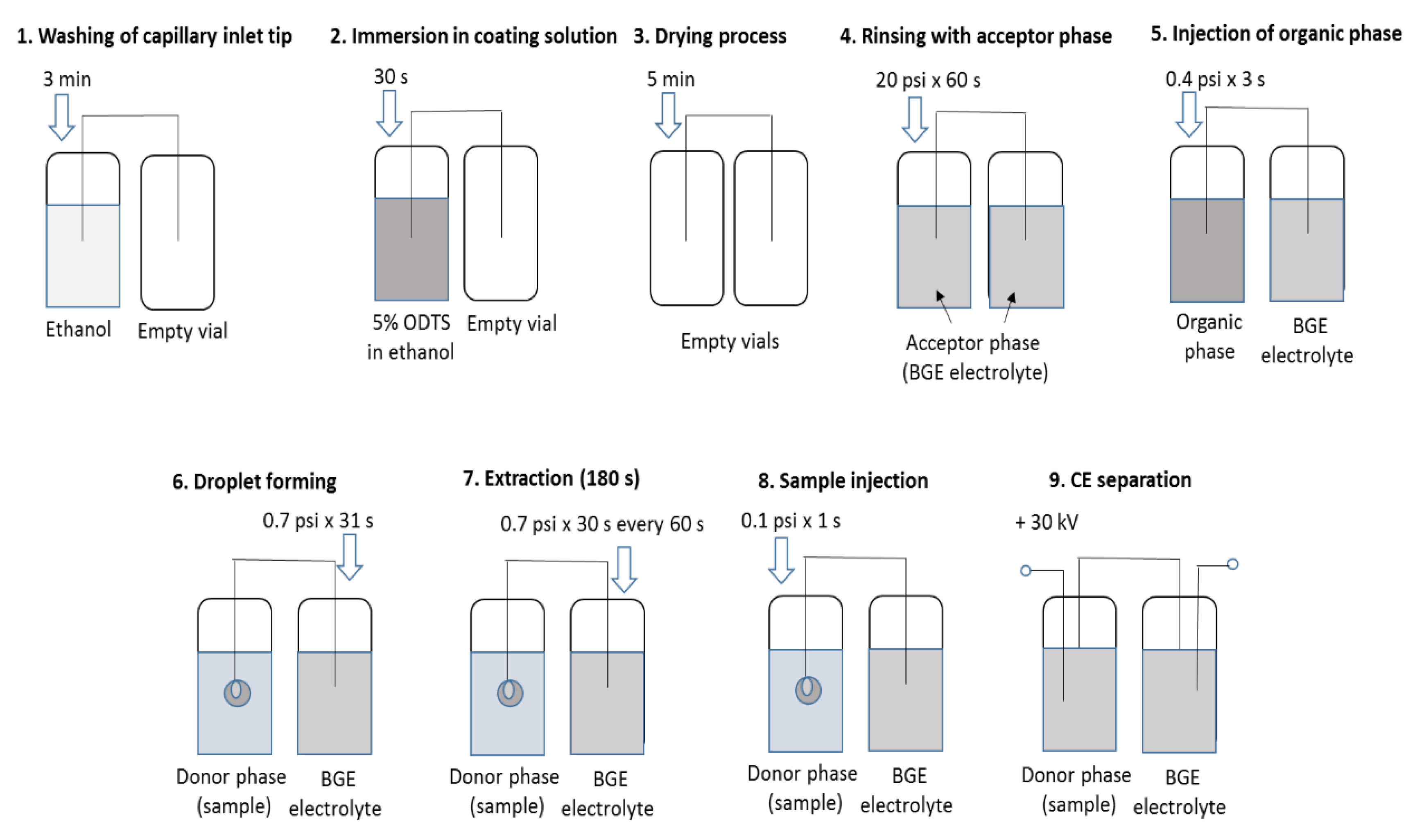 Molecules 25 01566 g006