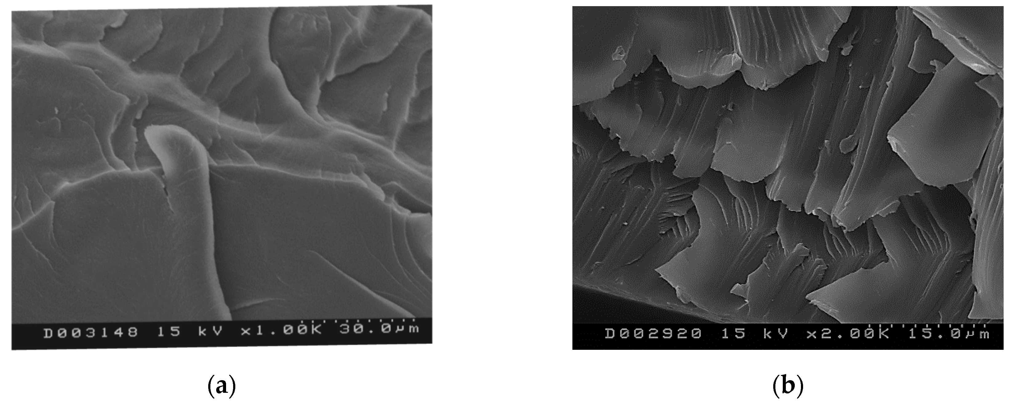 Molecules 25 01568 g009 Molecules 25 01568 g009